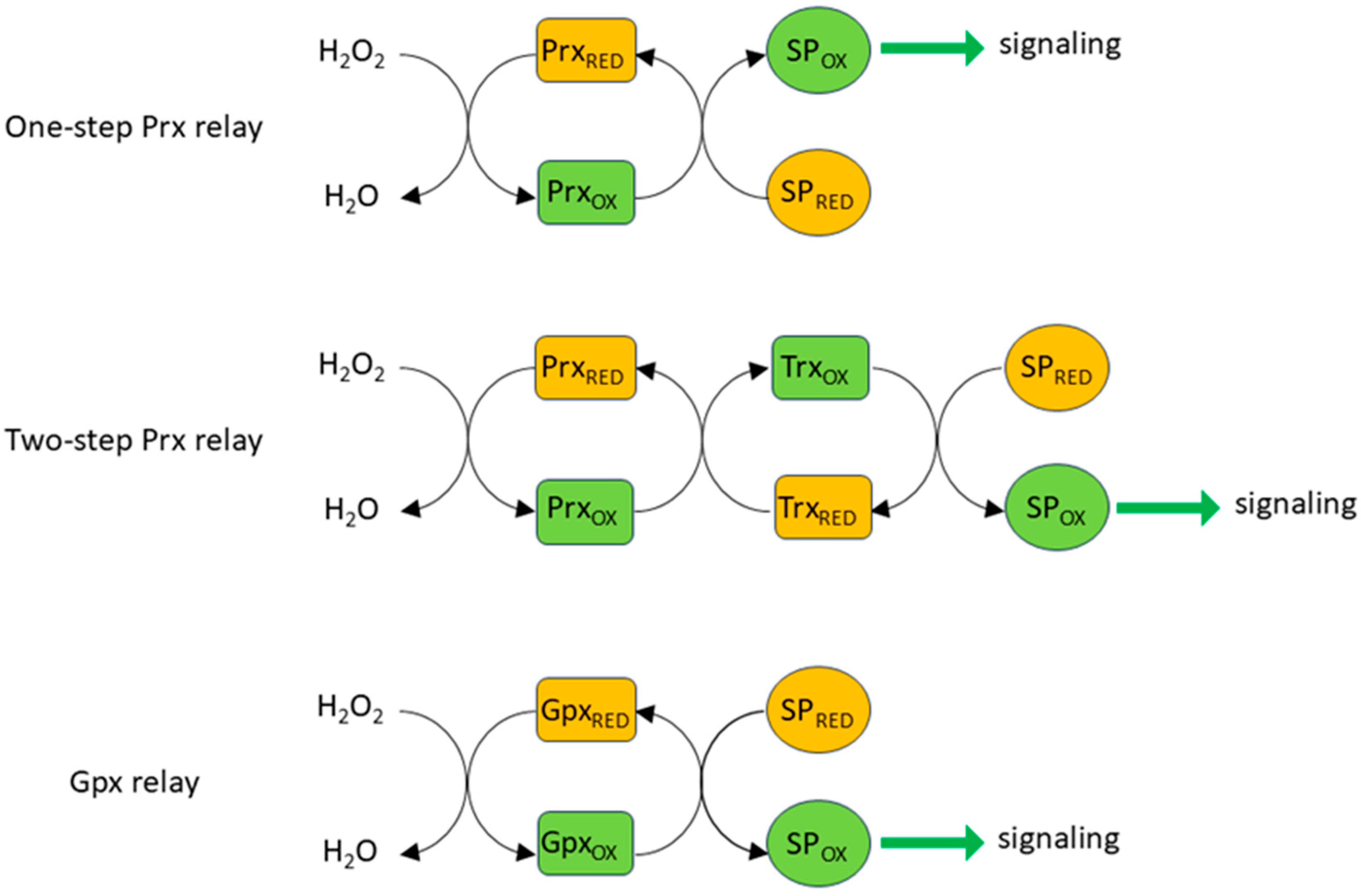 Oxygen 06 00004 g003