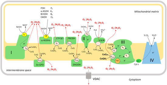 Oxygen 06 00004 g005
