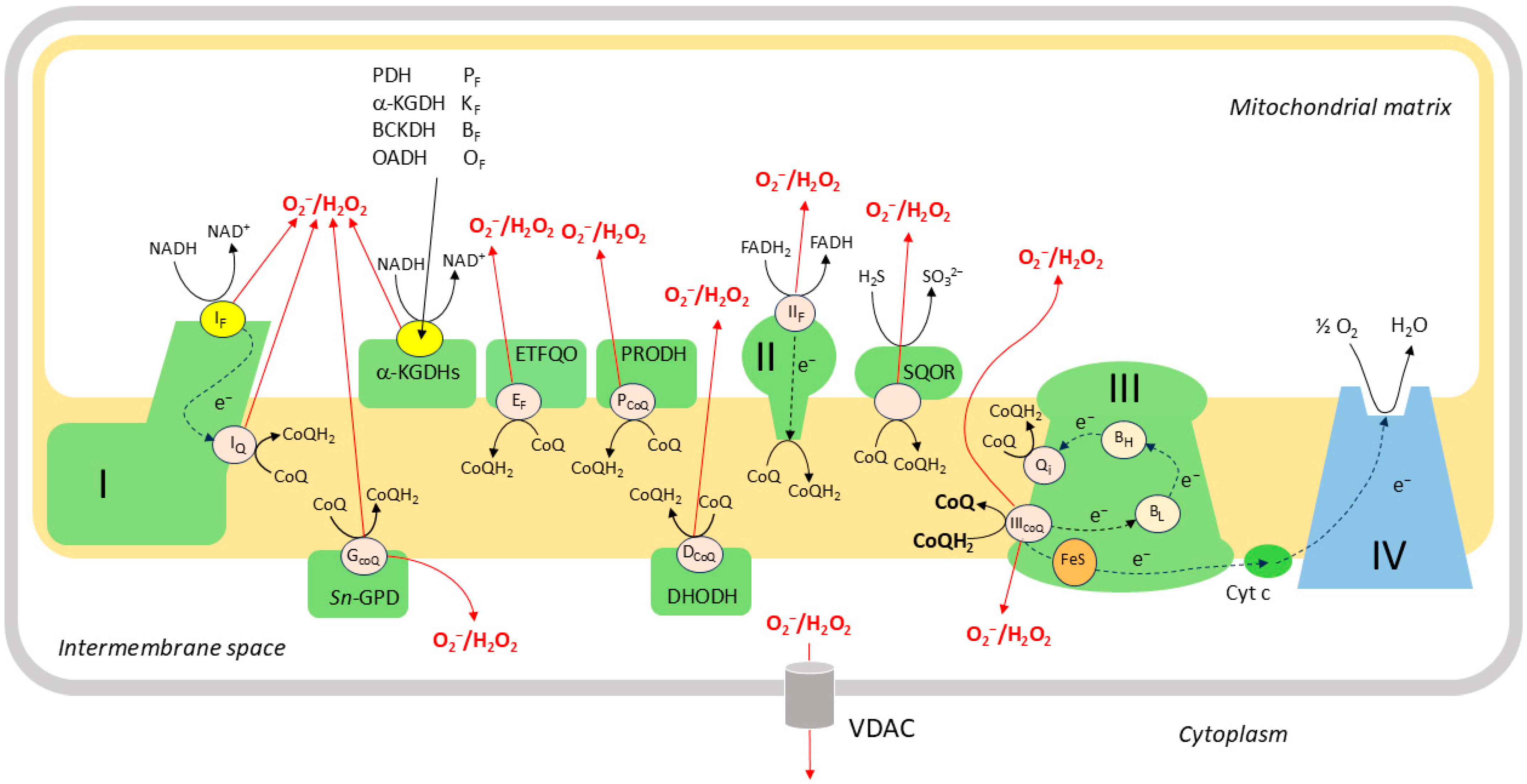 Oxygen 06 00004 g005