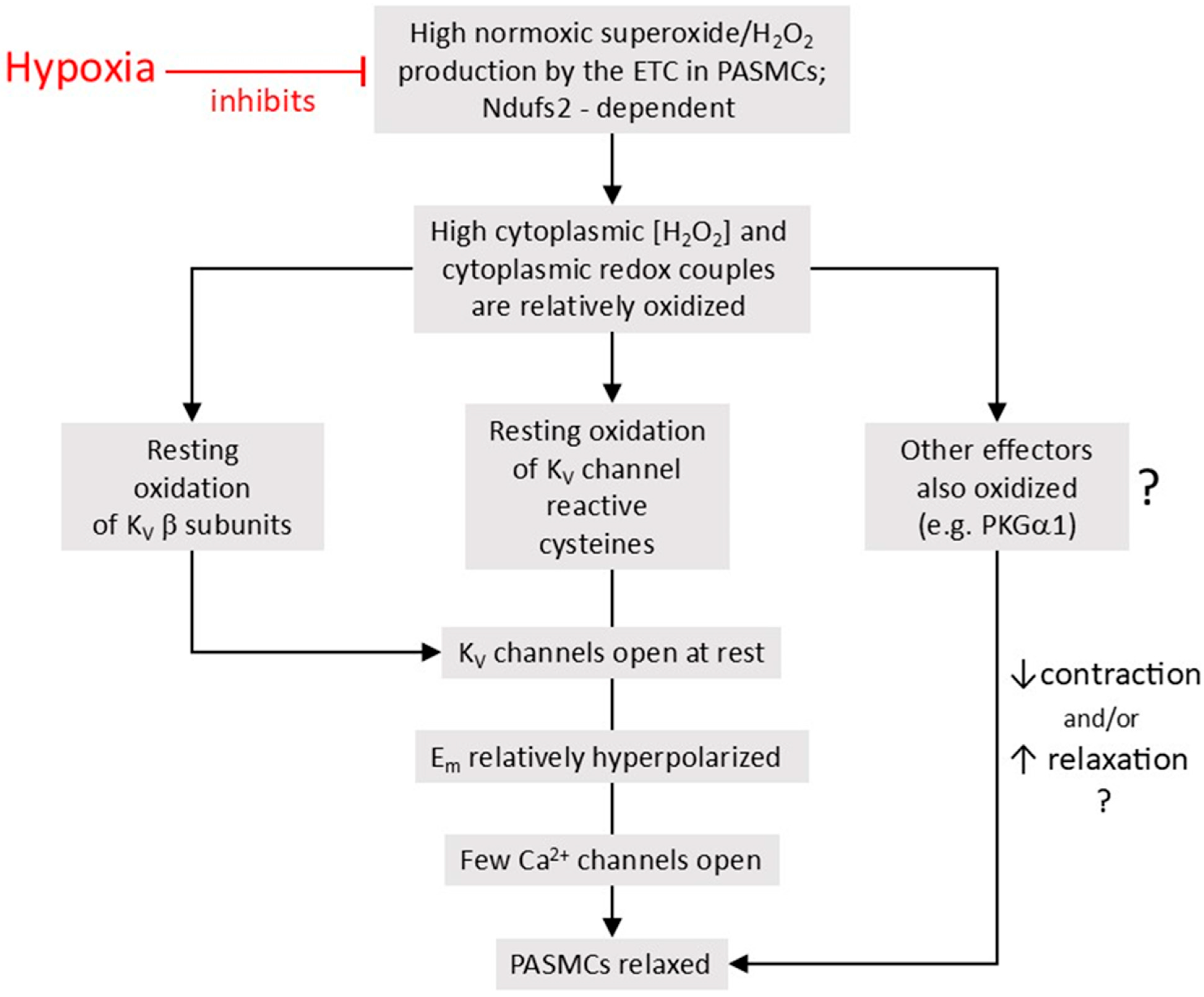 Oxygen 06 00004 g006