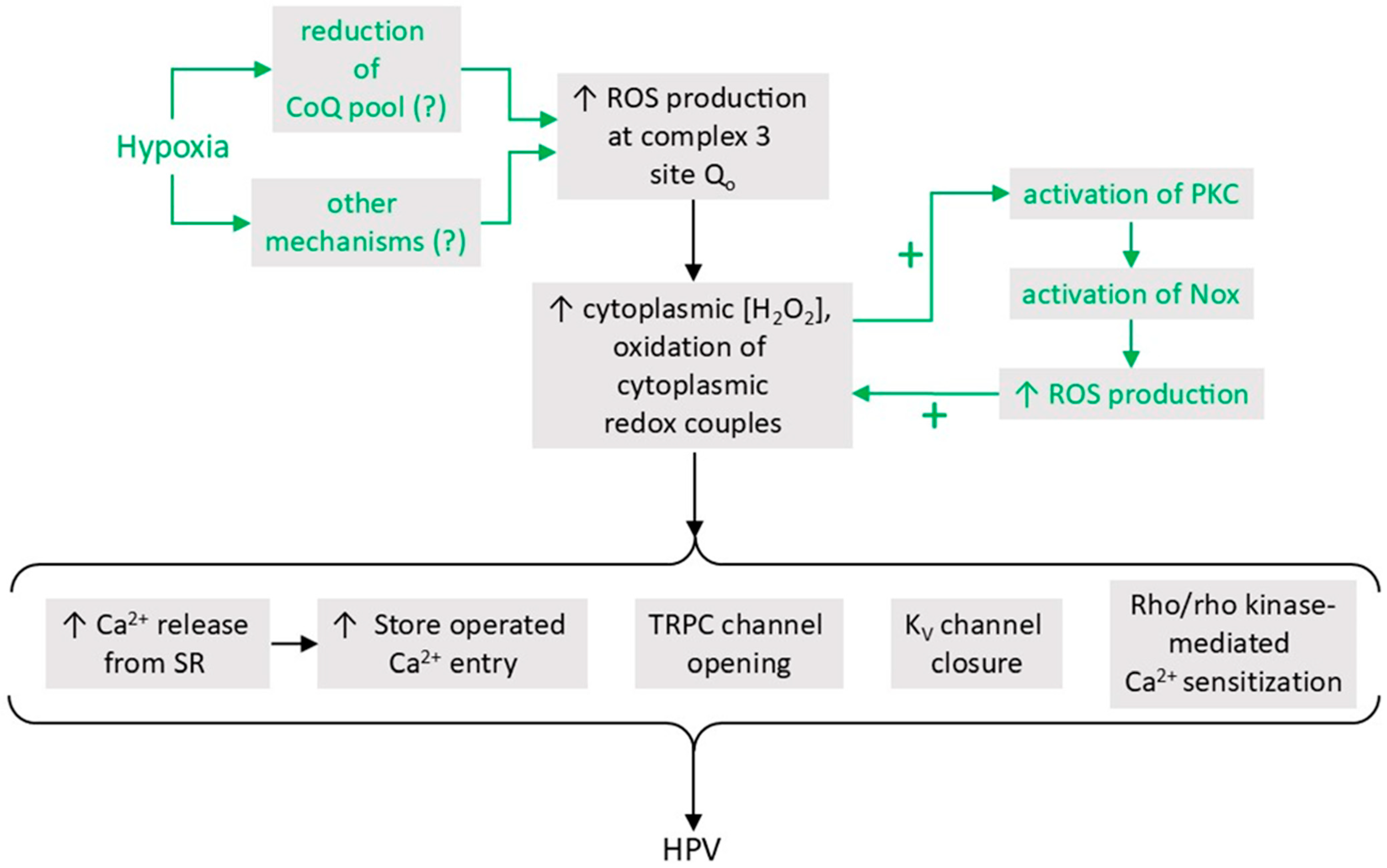 Oxygen 06 00004 g007