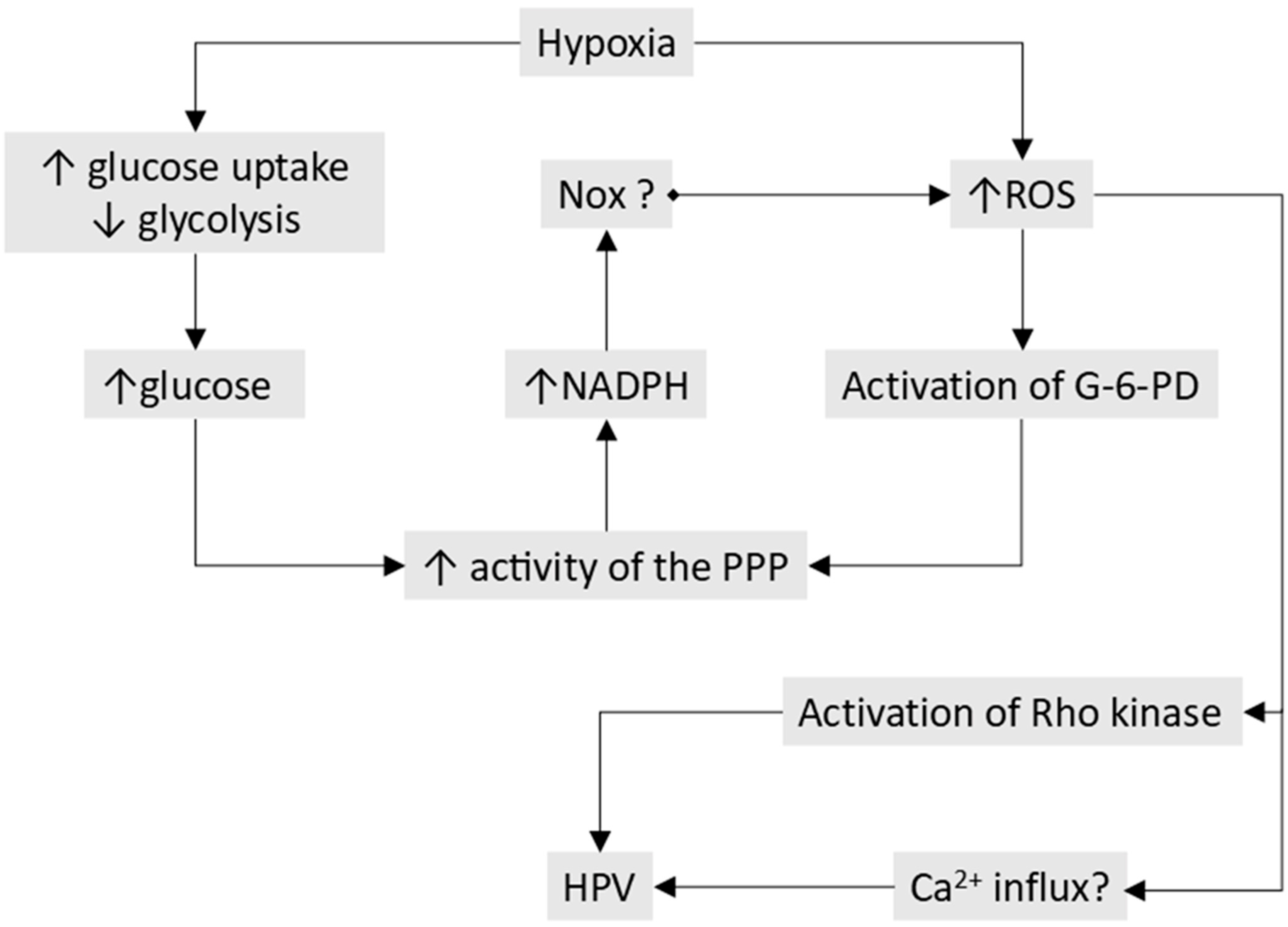 Oxygen 06 00004 g009