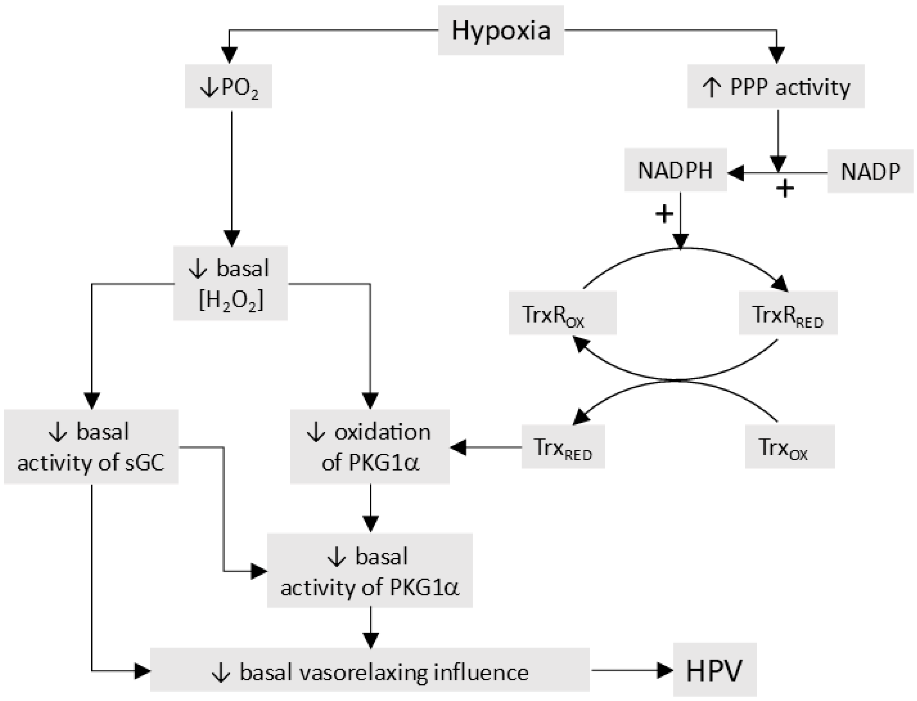 Oxygen 06 00004 g010