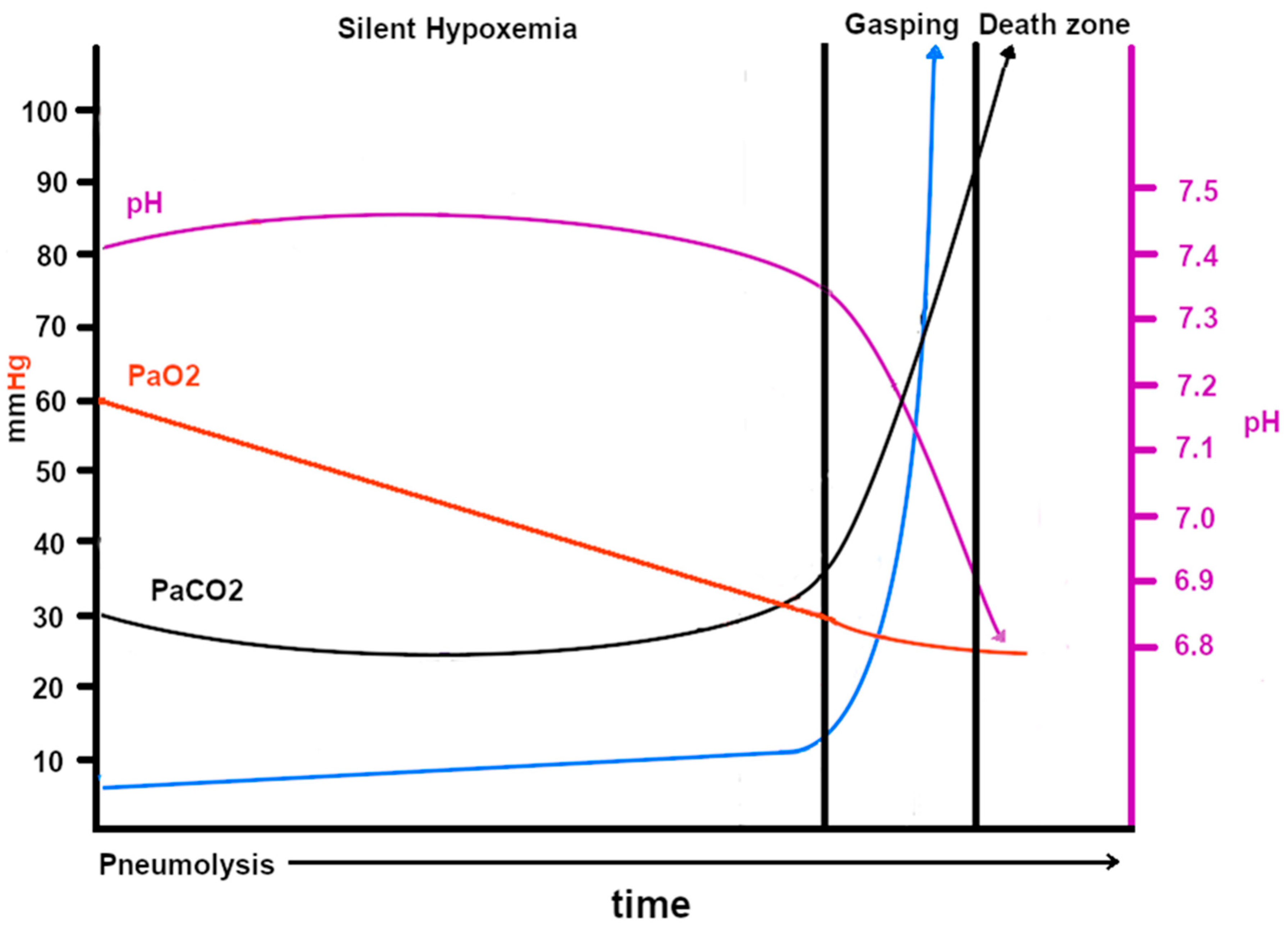 Oxygen 06 00007 g008