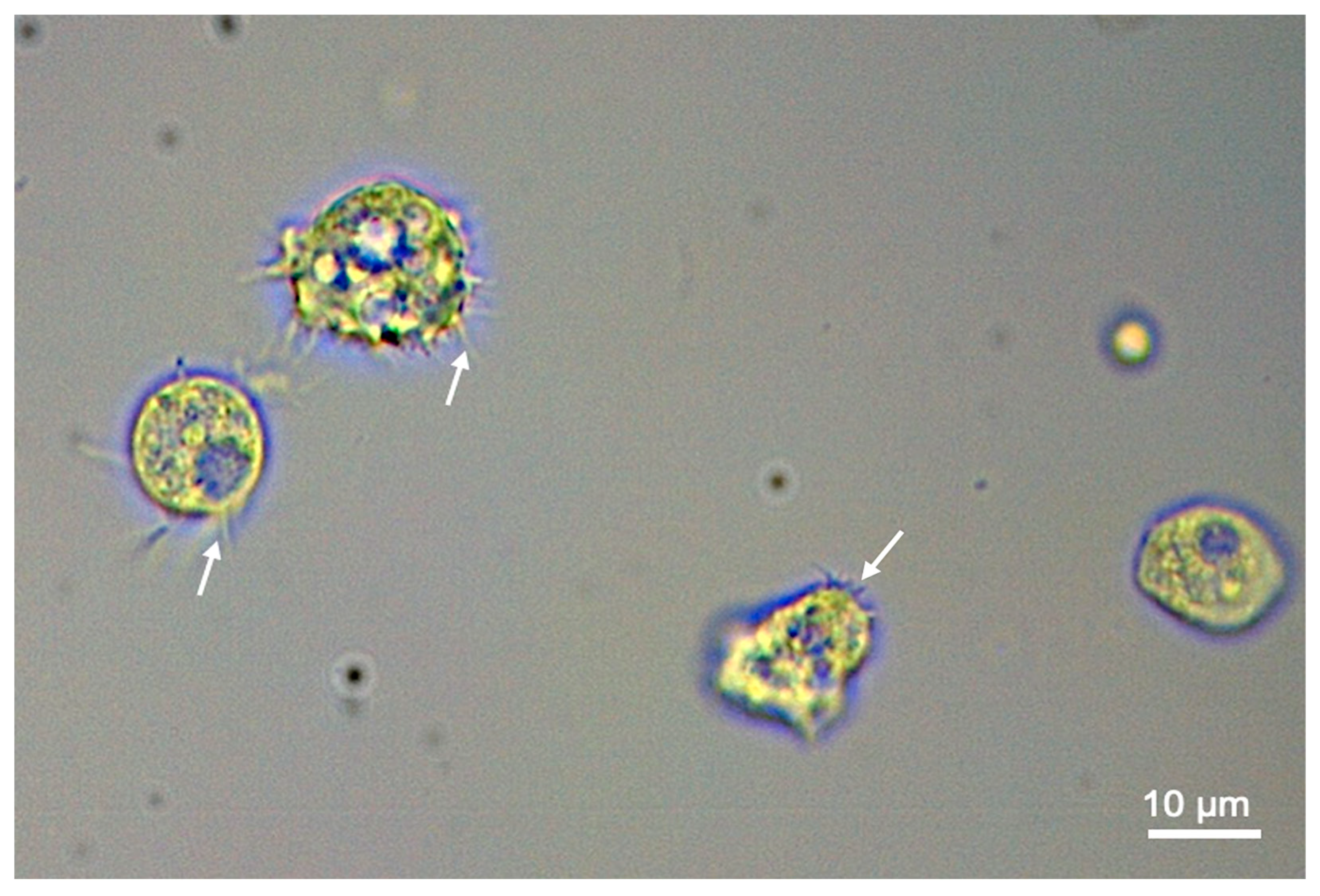Parasitologia 01 00002 g001