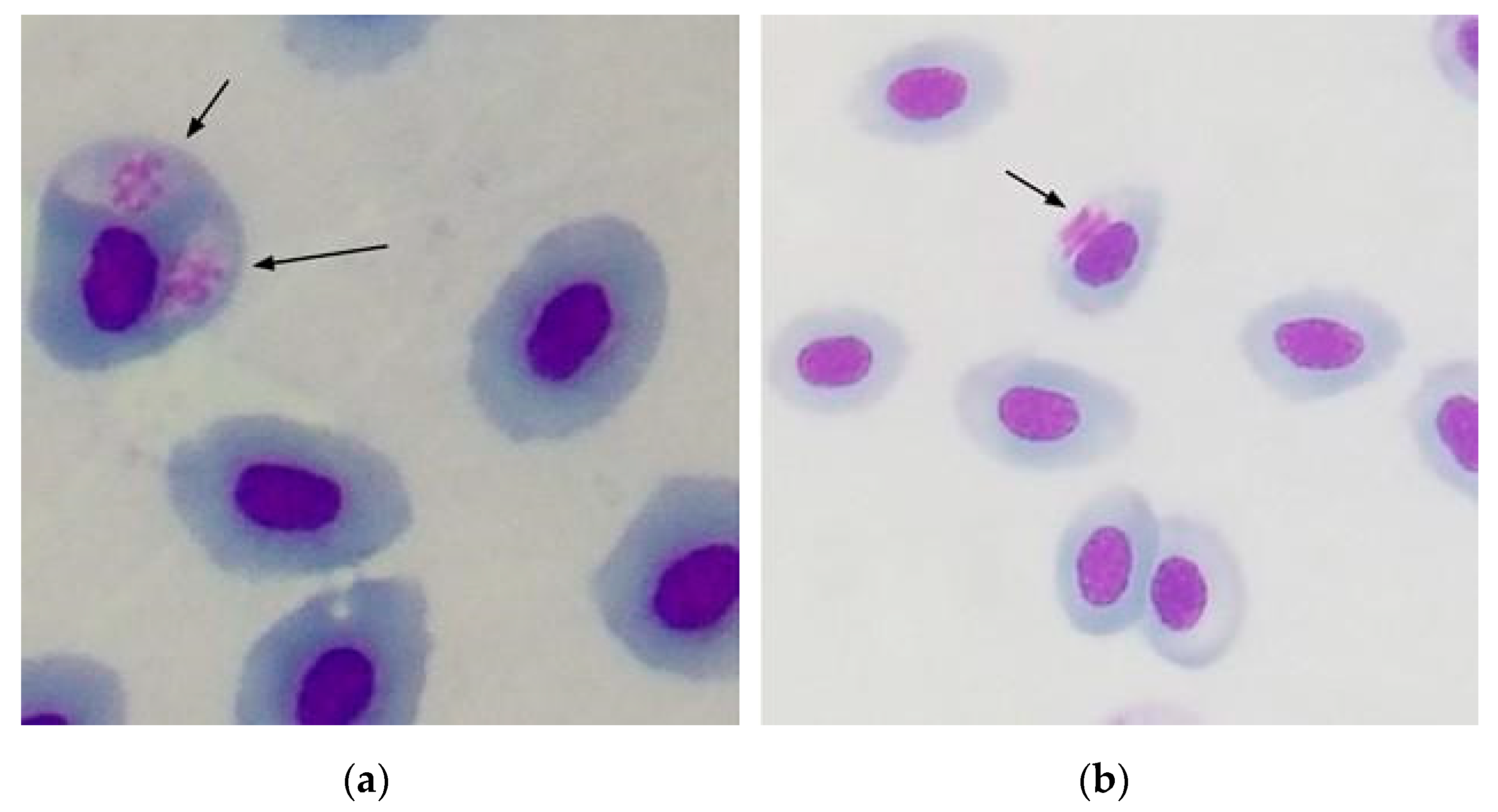 Parasitologia 01 00009 g0a1