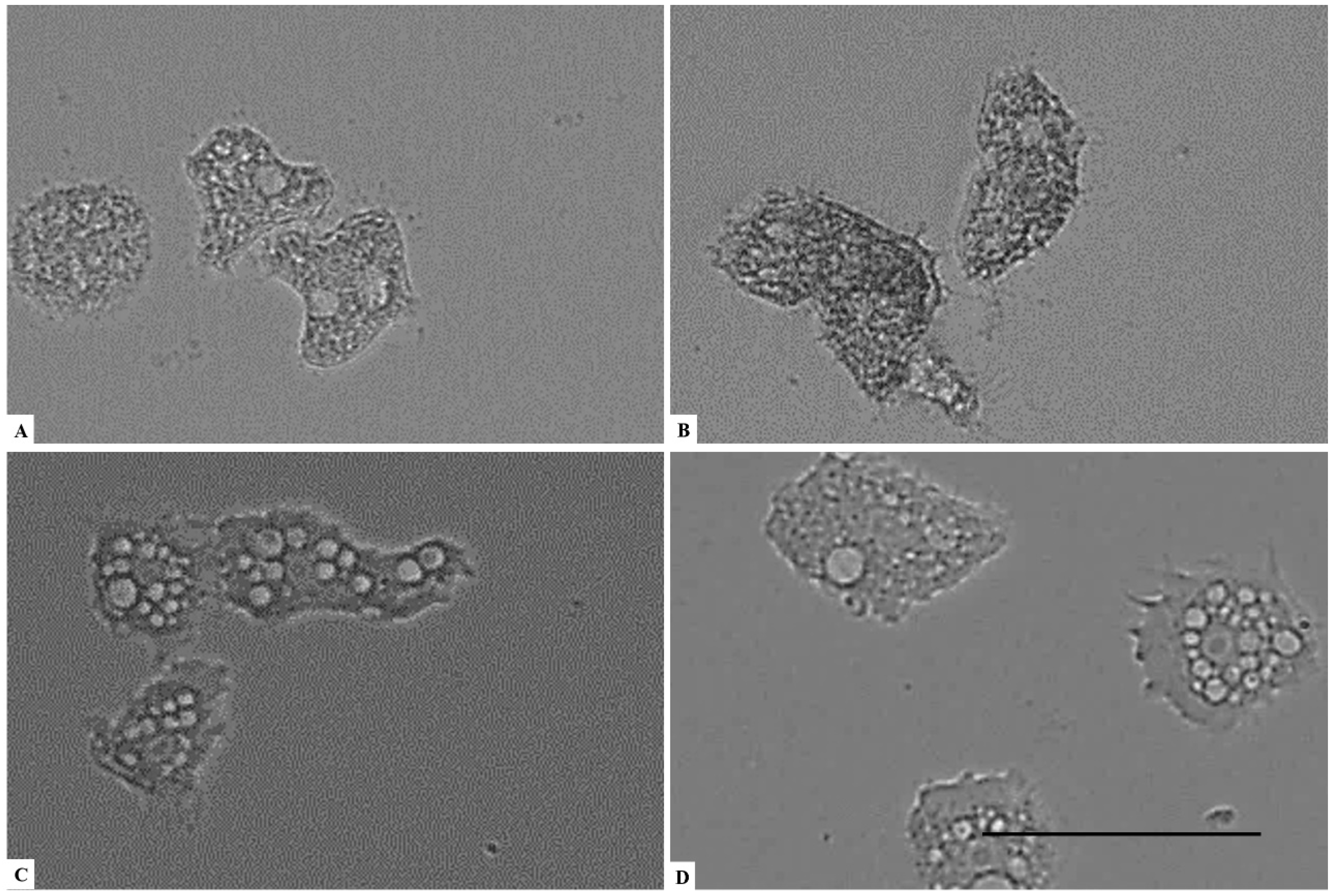 Parasitologia 01 00013 g001