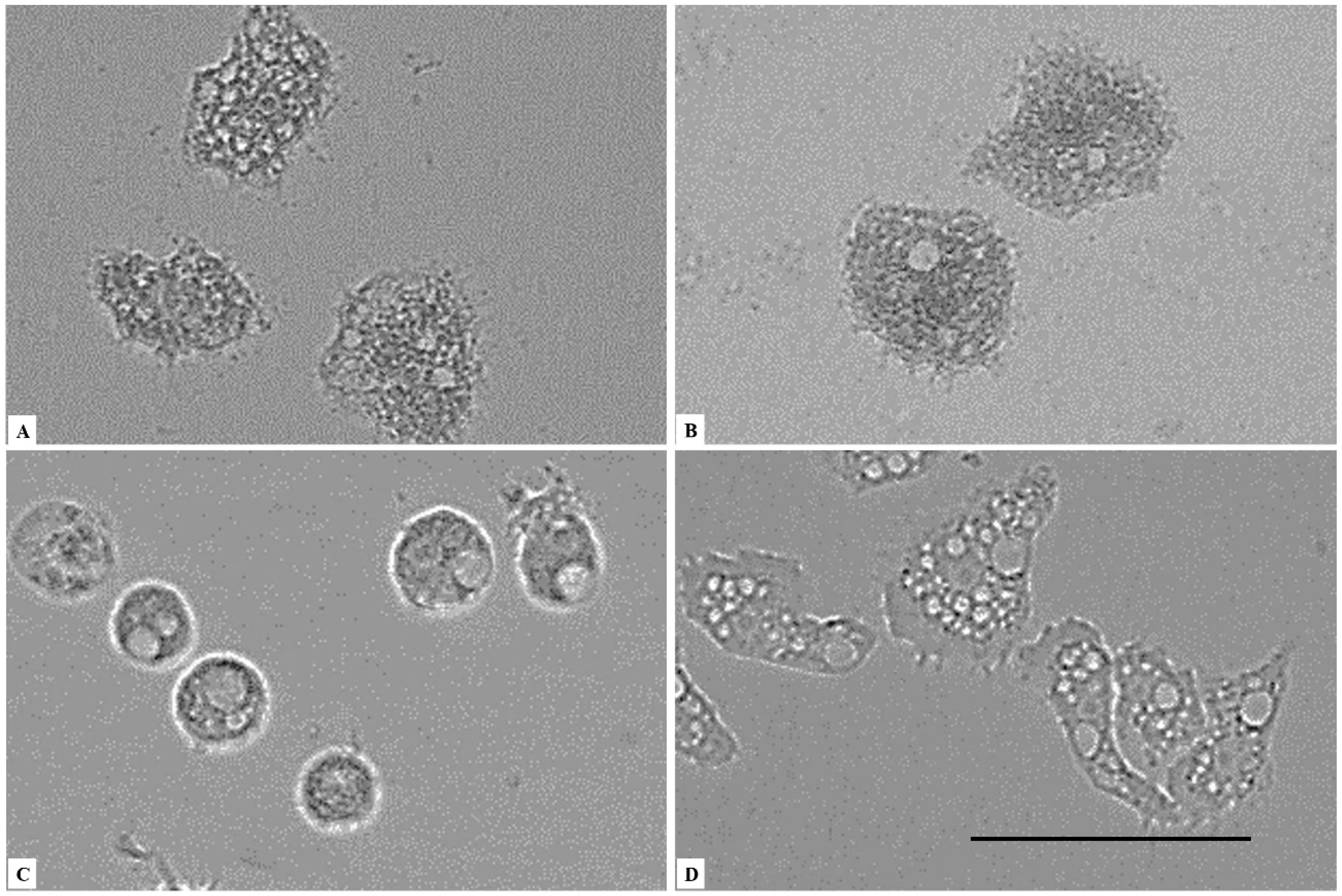 Parasitologia 01 00013 g002
