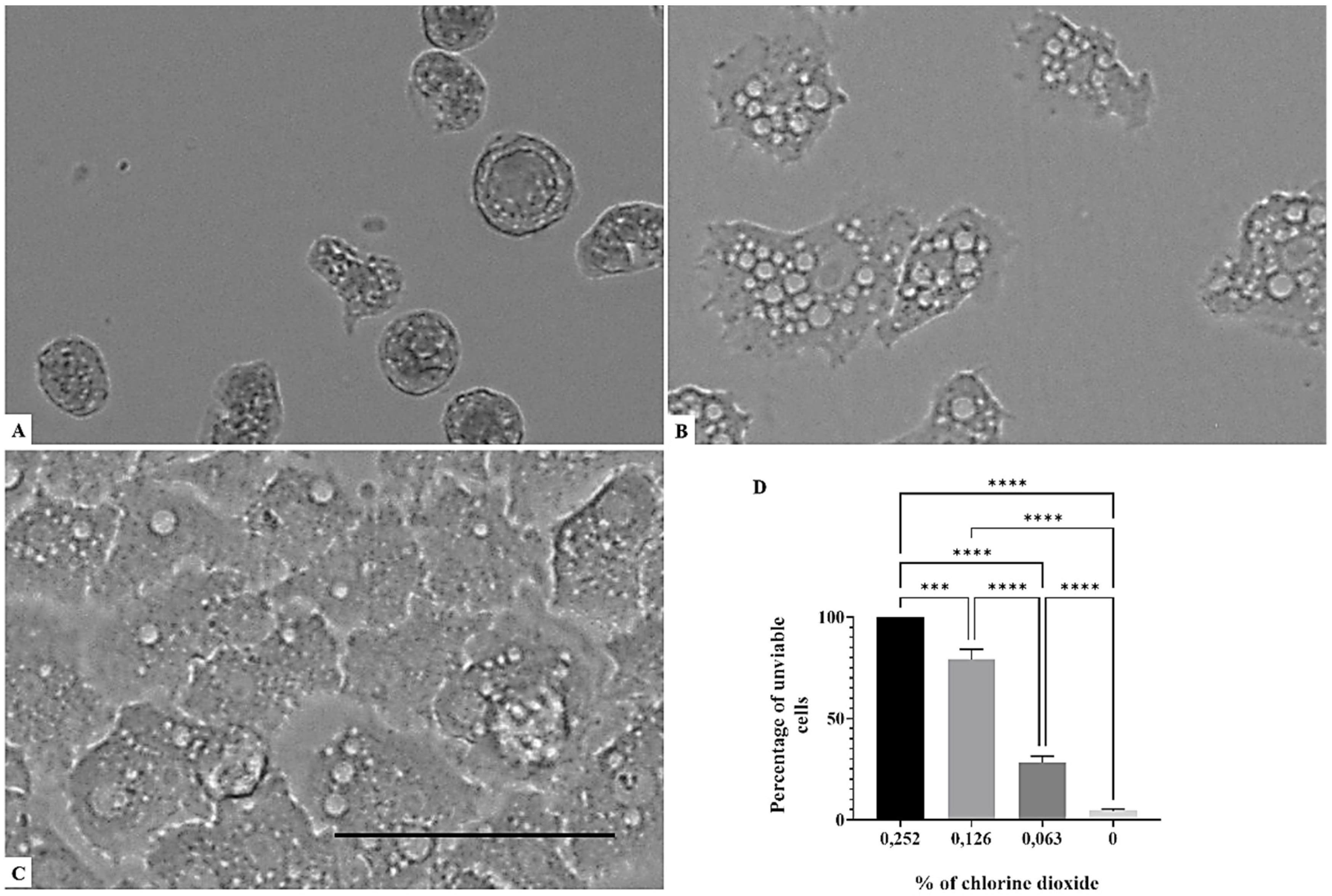 Parasitologia 01 00013 g004