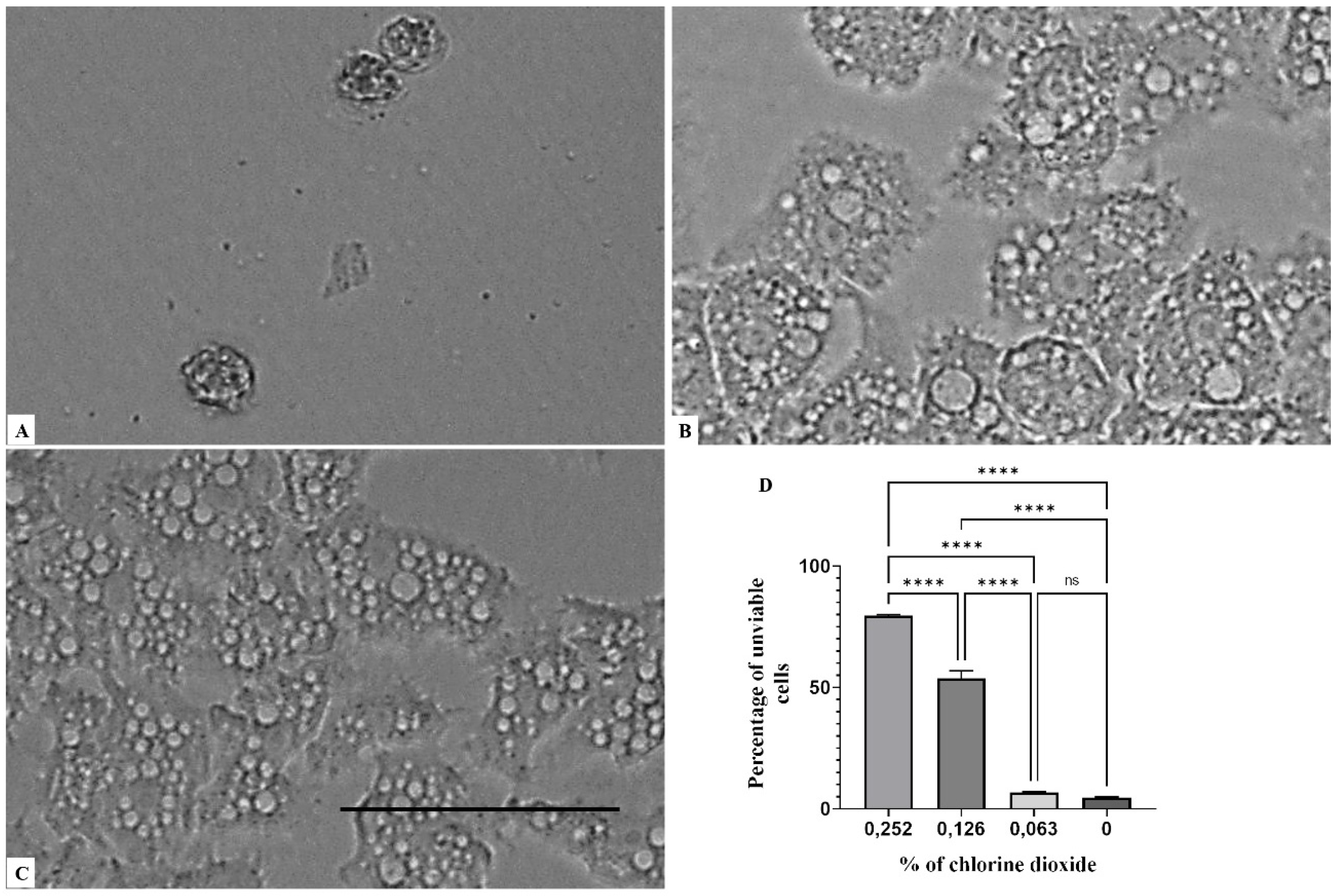 Parasitologia 01 00013 g005