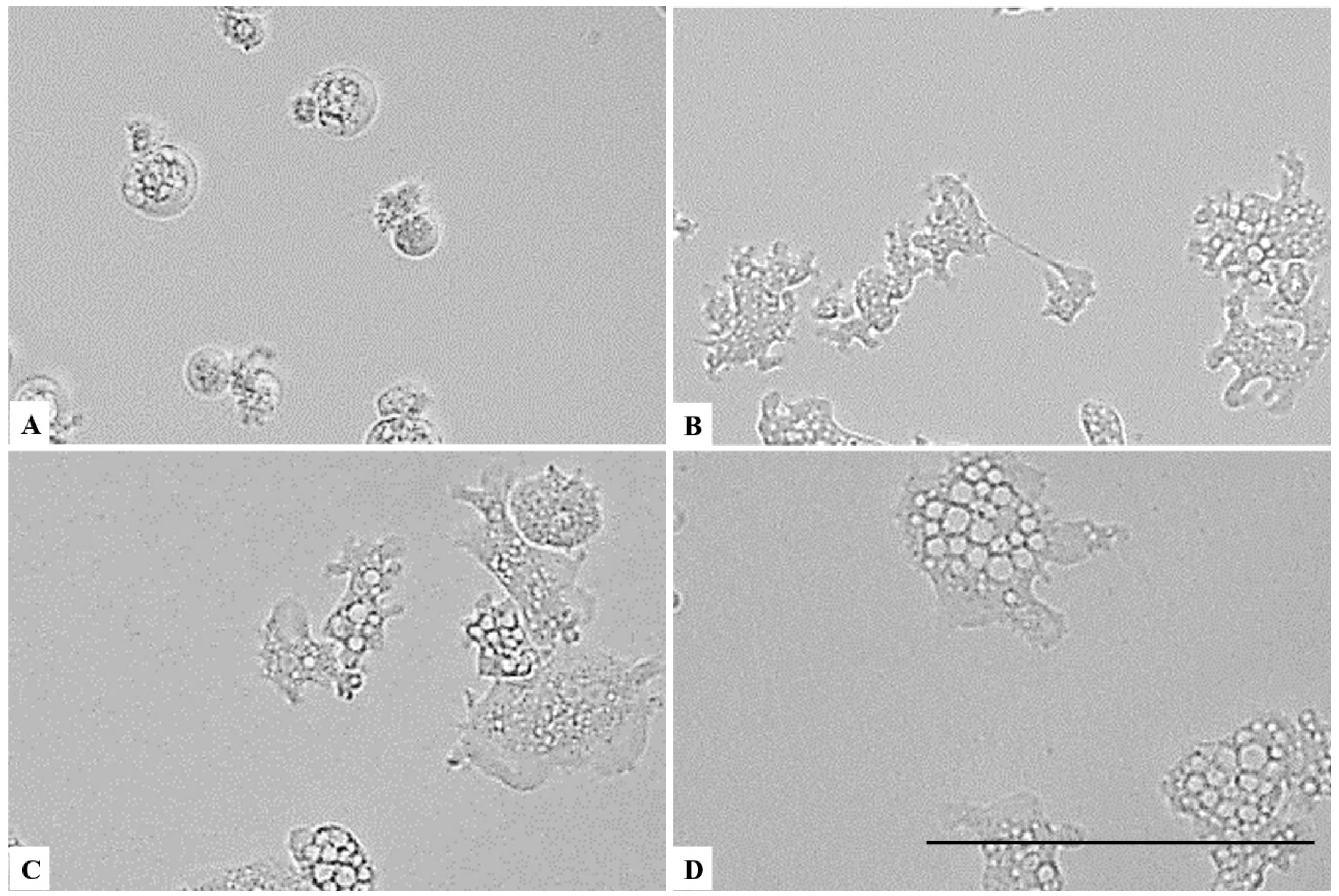Parasitologia 01 00013 g006