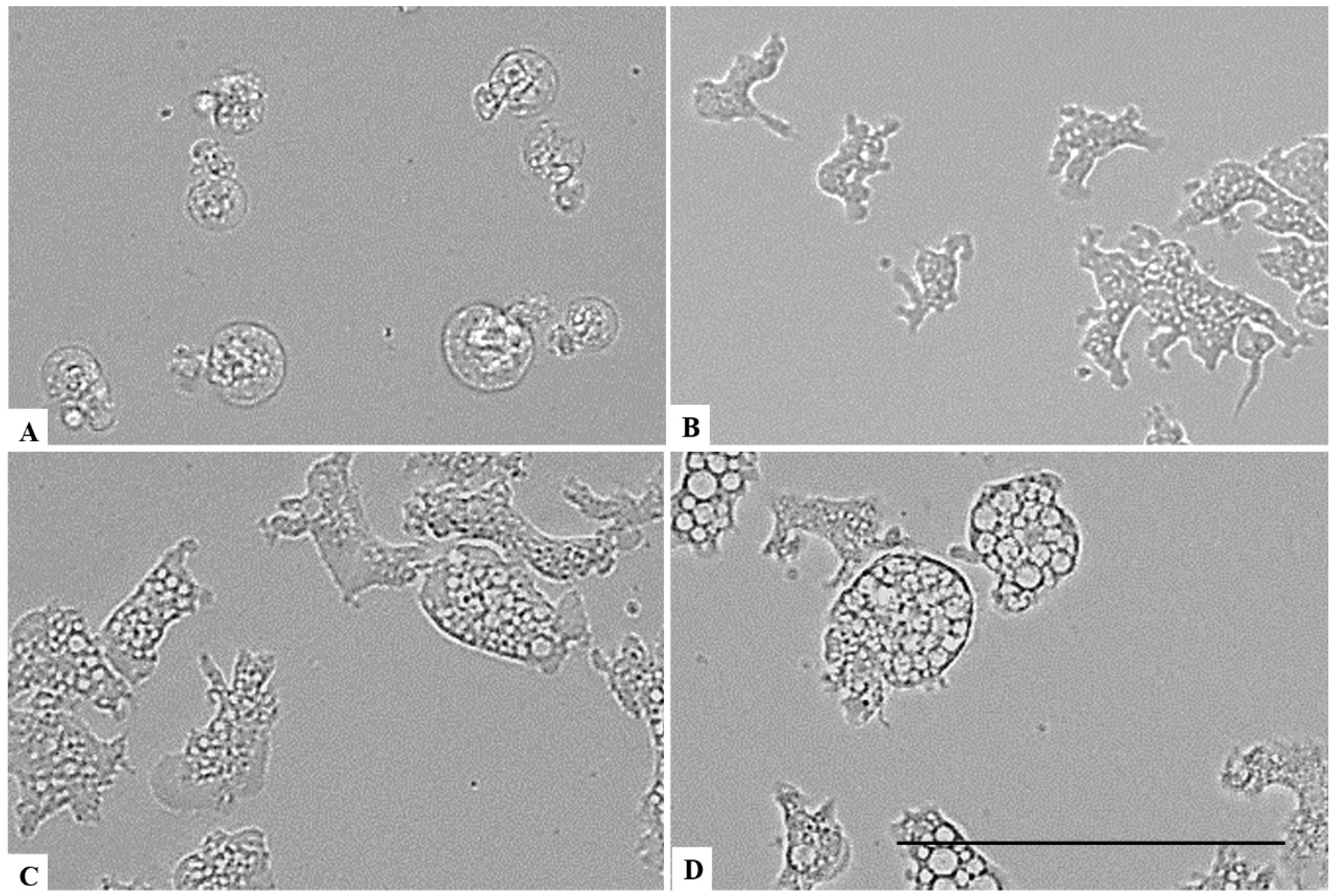 Parasitologia 01 00013 g007