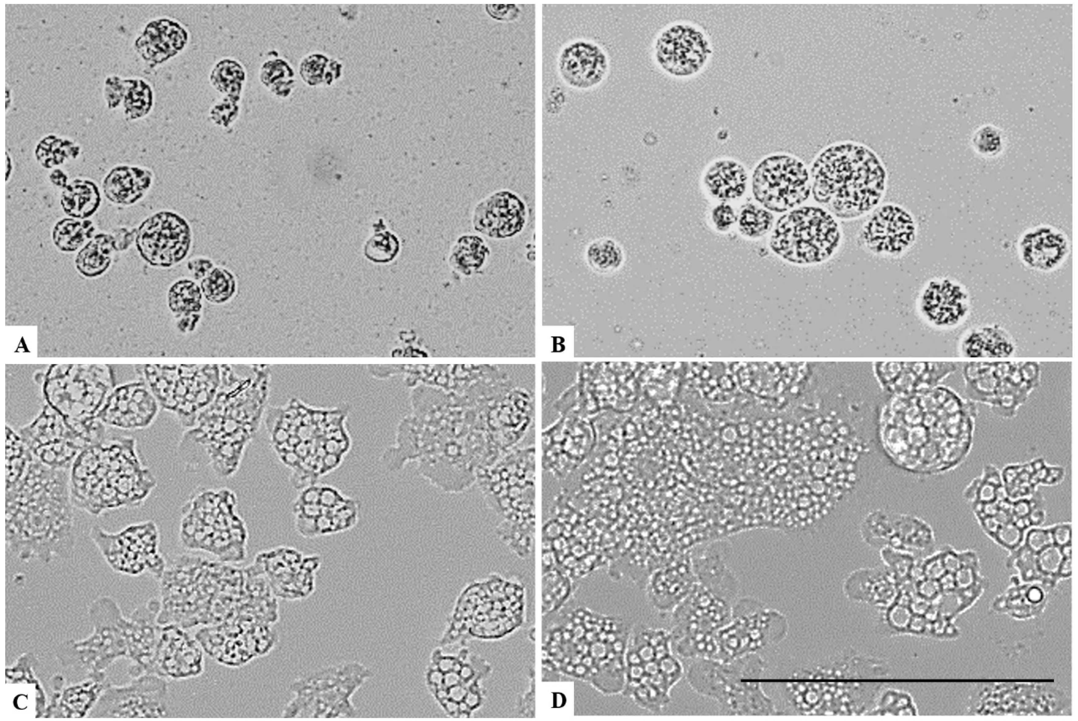 Parasitologia 01 00013 g008
