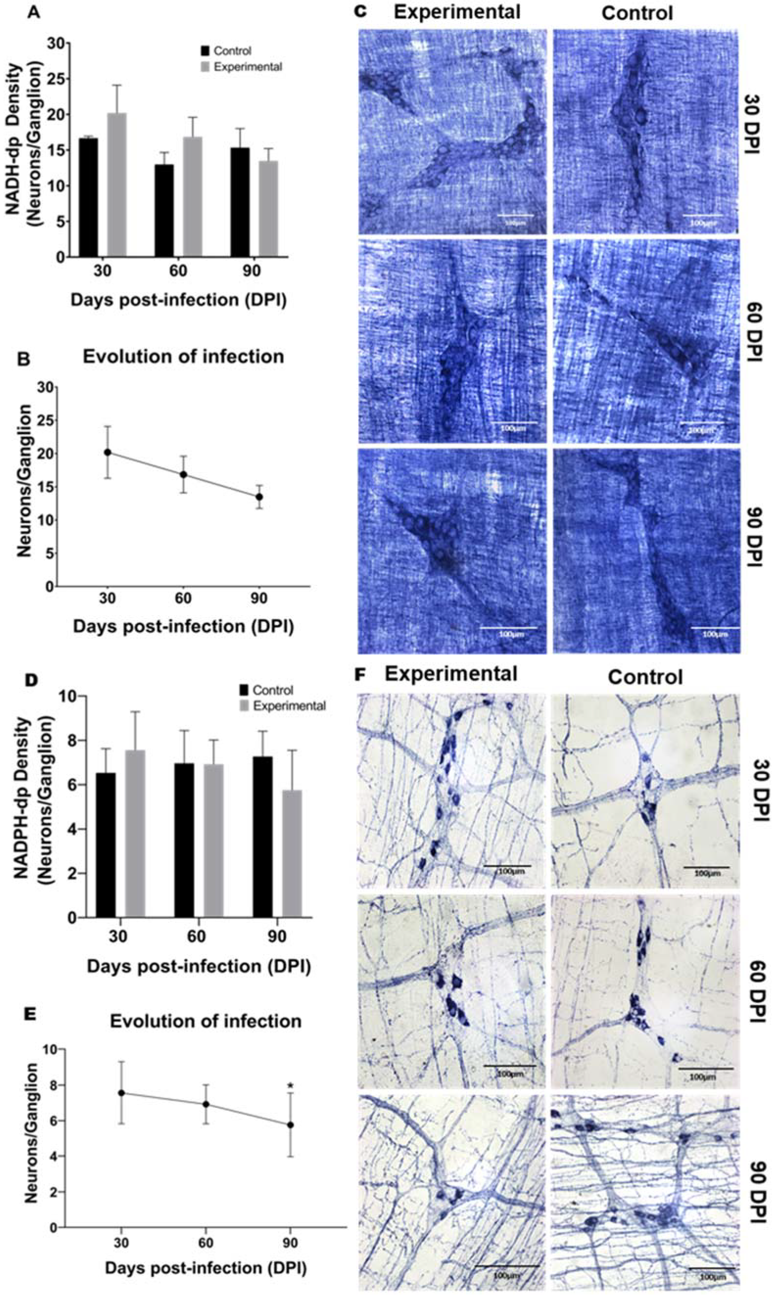 Parasitologia 01 00024 g002