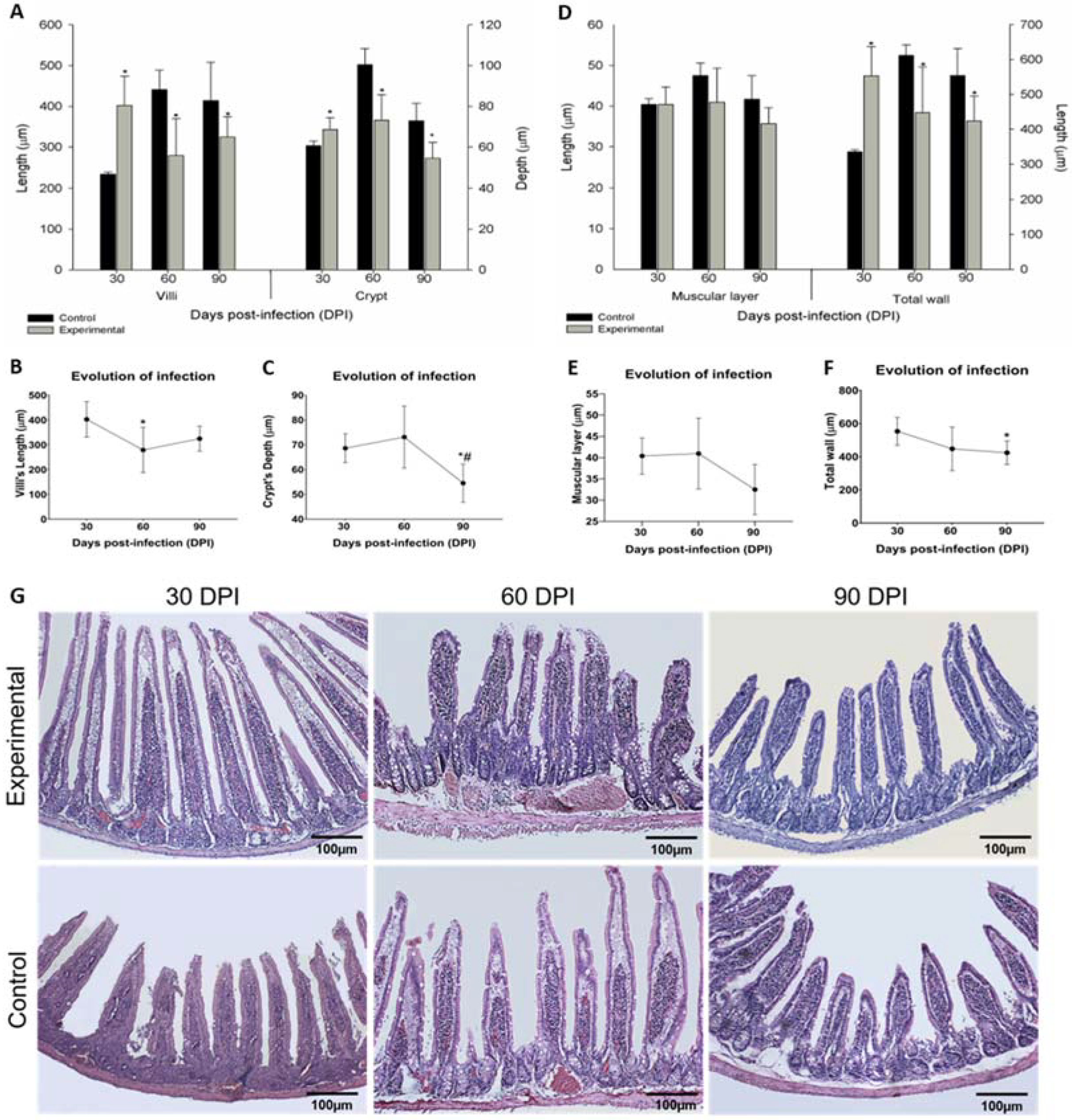Parasitologia 01 00024 g004