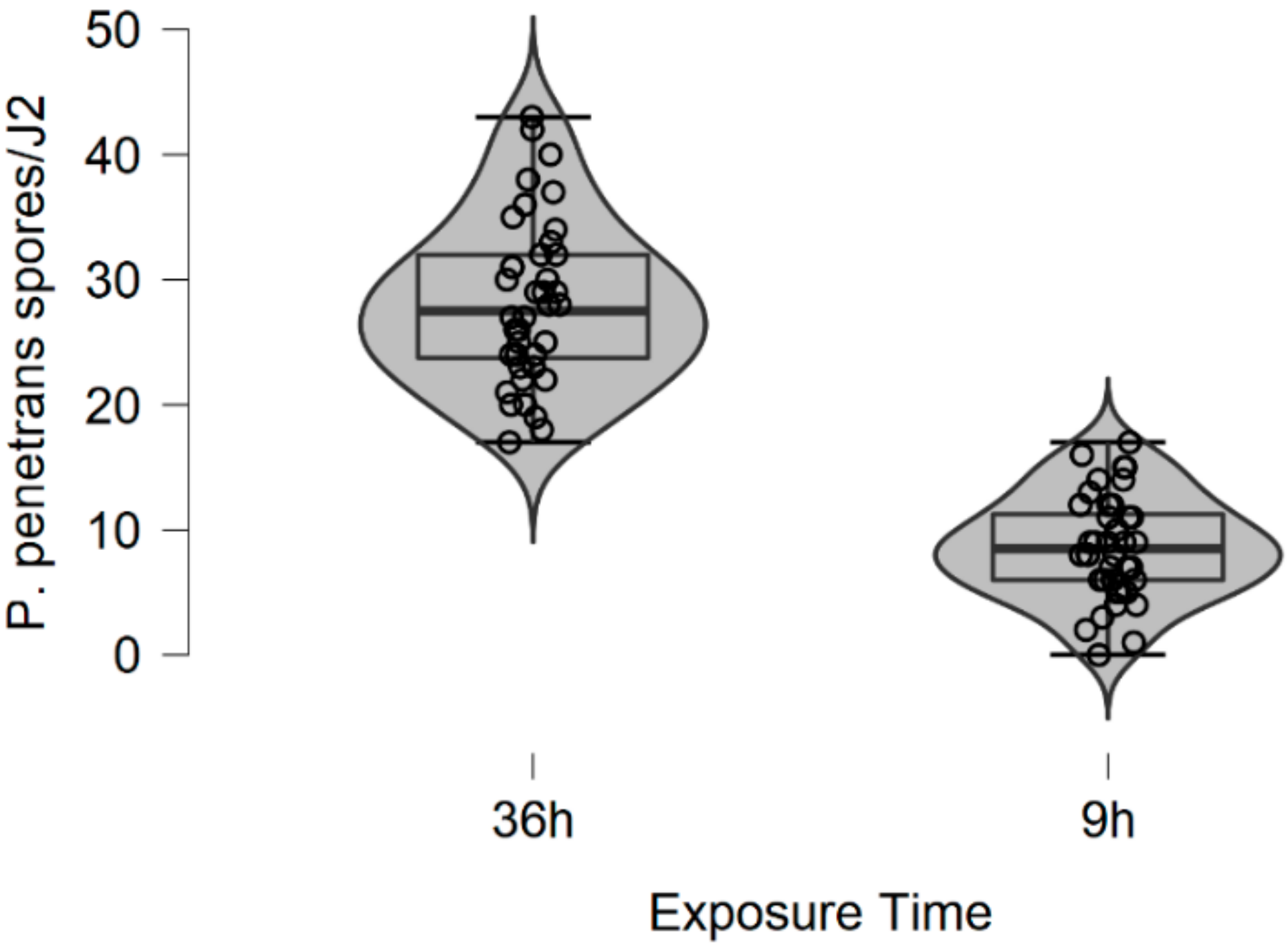 Parasitologia 02 00018 g004