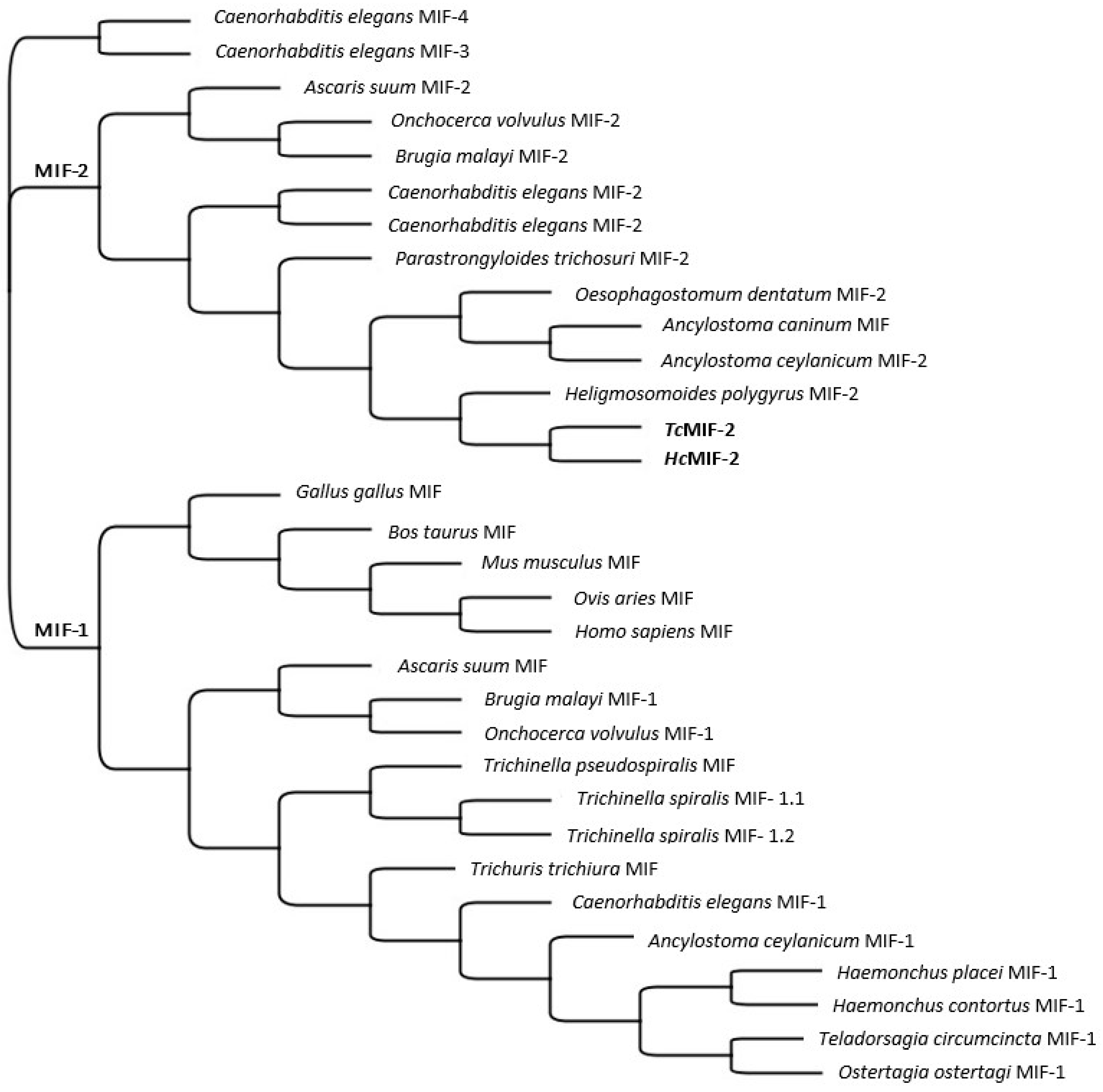 Parasitologia 02 00028 g002