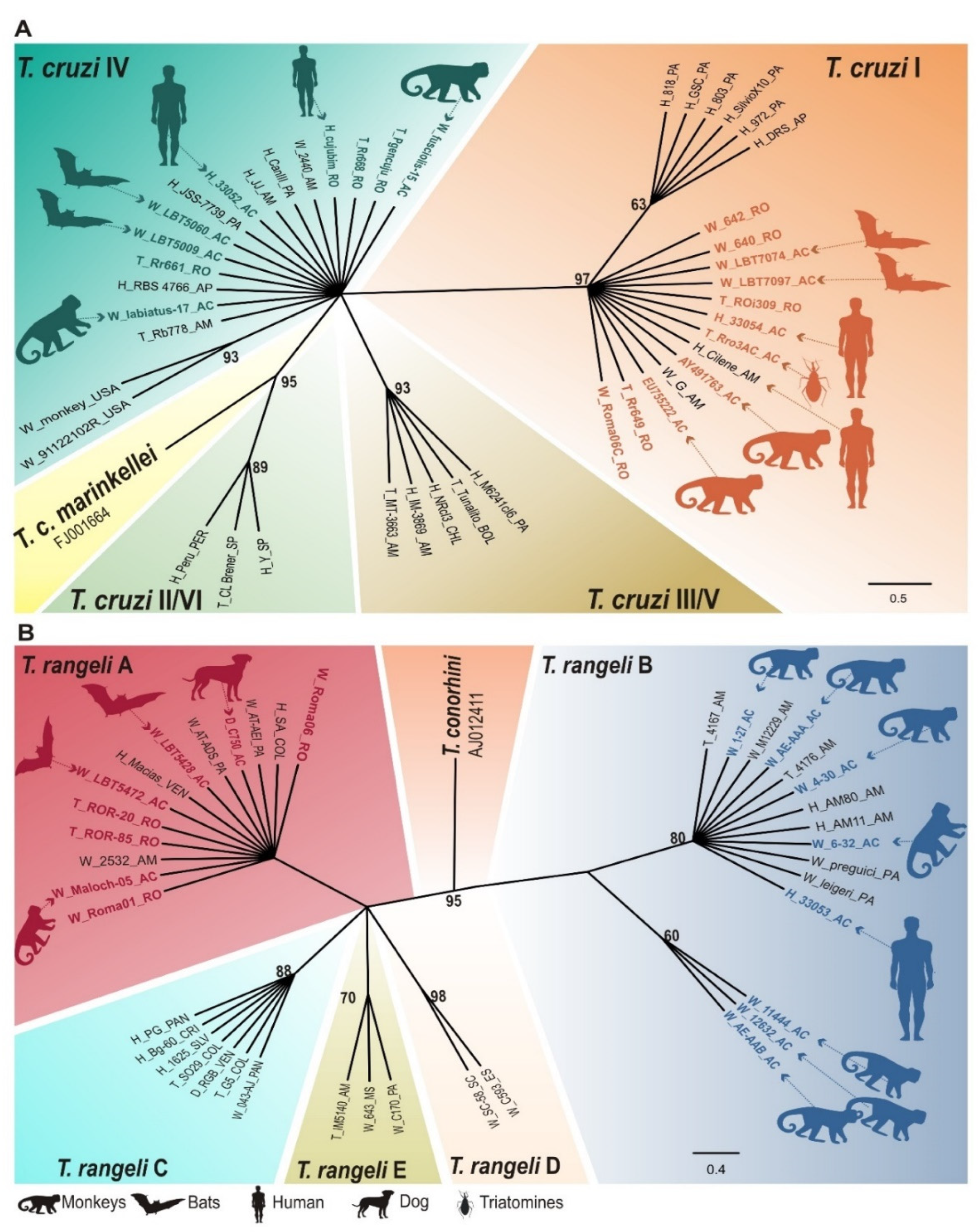 Parasitologia 02 00029 g003