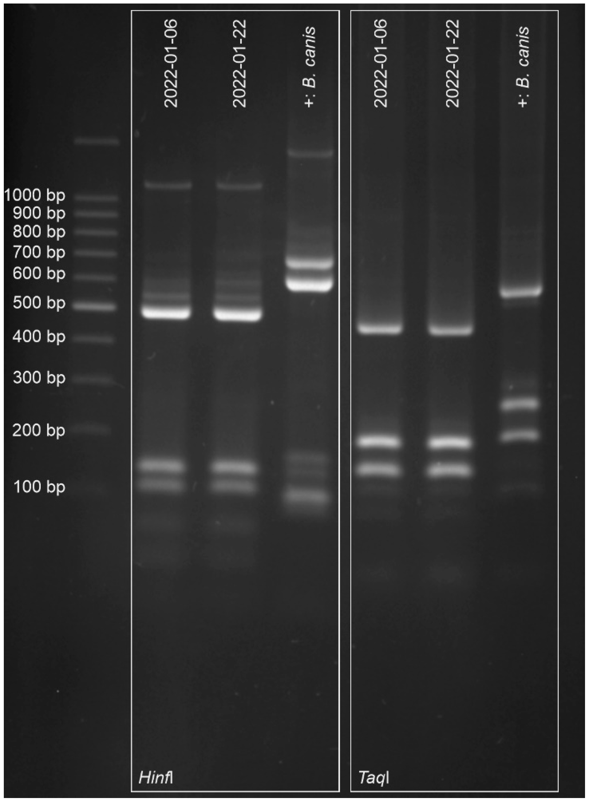 Parasitologia 03 00008 g003