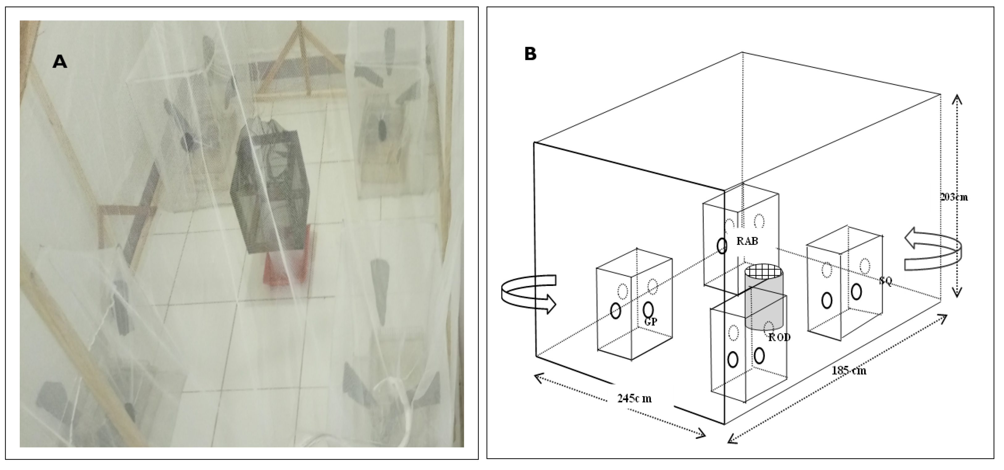 Parasitologia 04 00003 g001