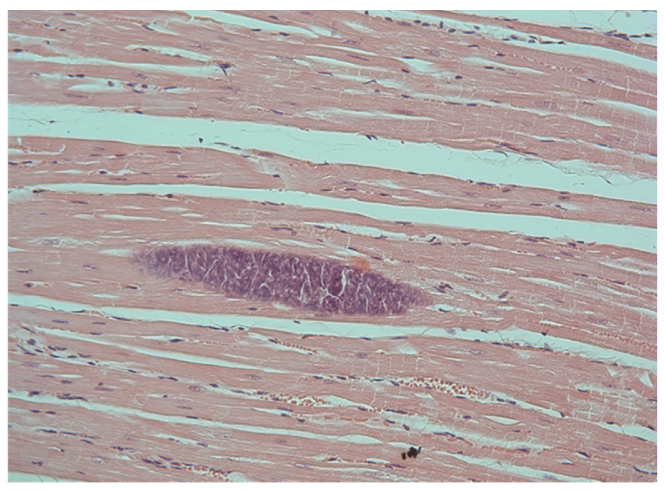 Parasitologia 04 00005 g001