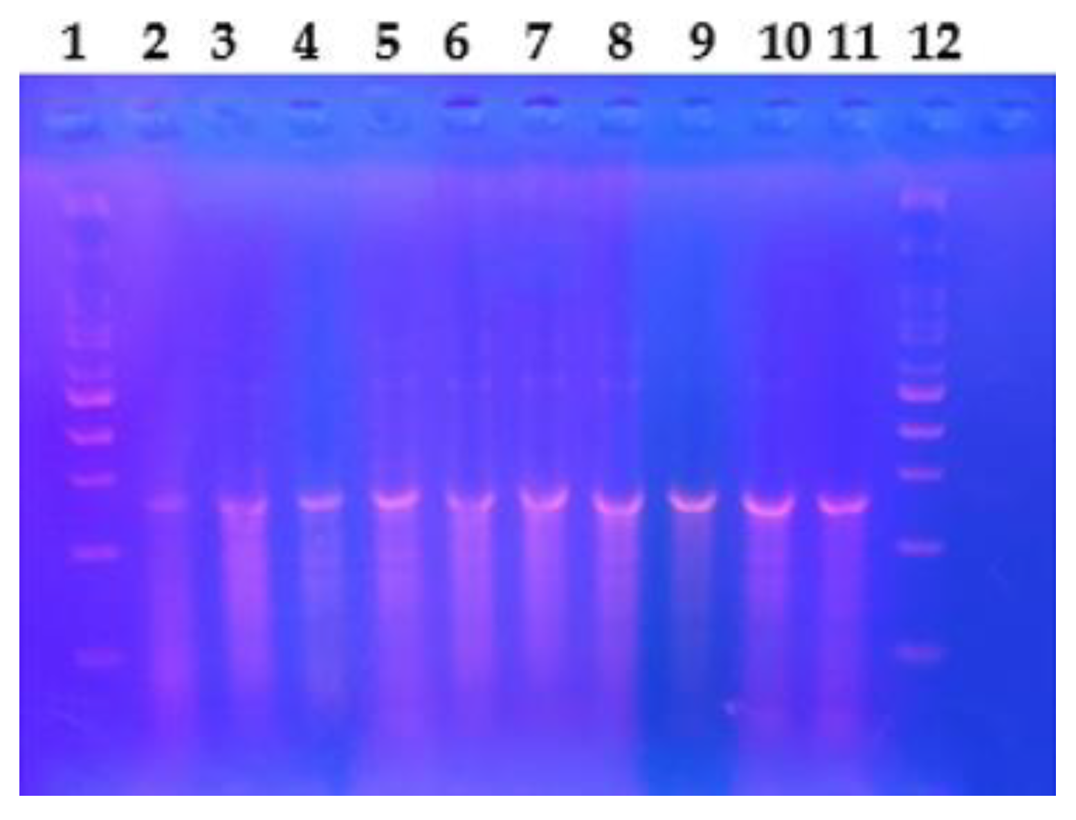 Parasitologia 04 00013 g001 Parasitologia 04 00013 g001