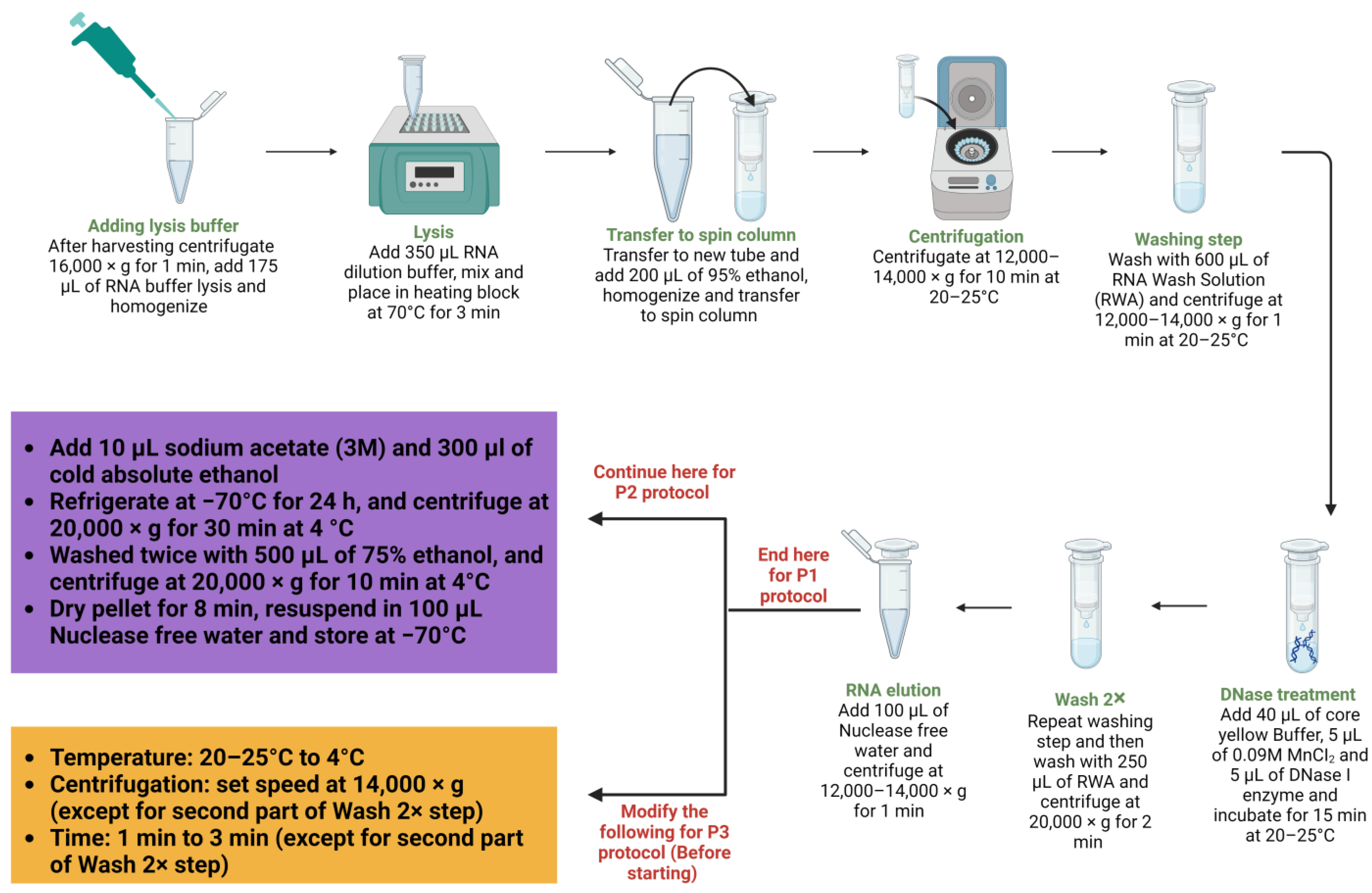 Parasitologia 04 00017 g002