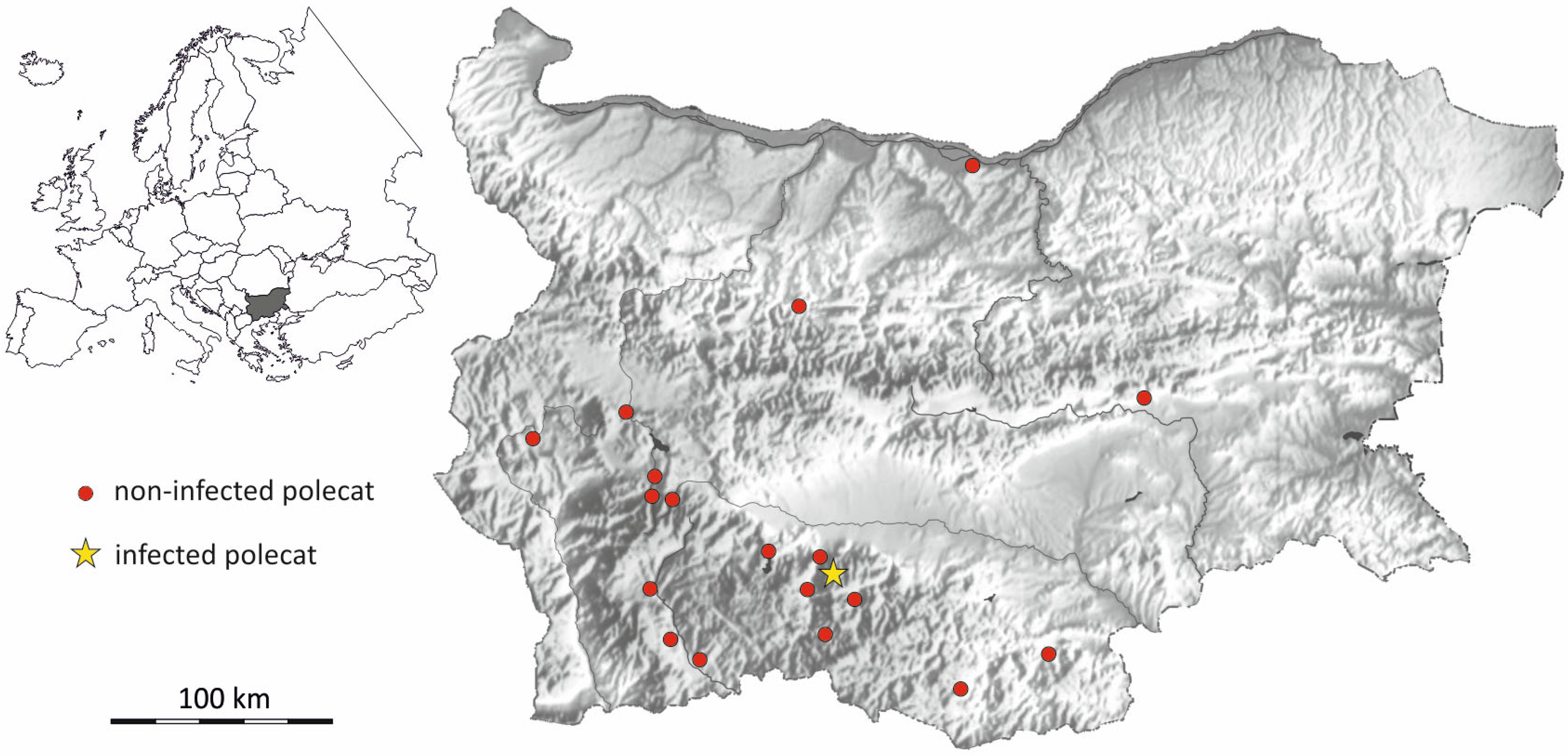 Parasitologia 04 00032 g001