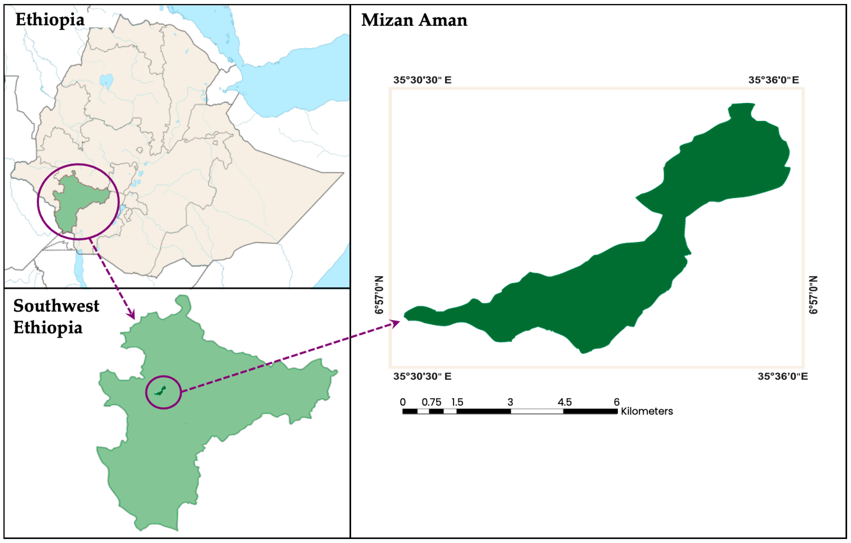 Parasitologia 05 00013 g001 Parasitologia 05 00013 g001