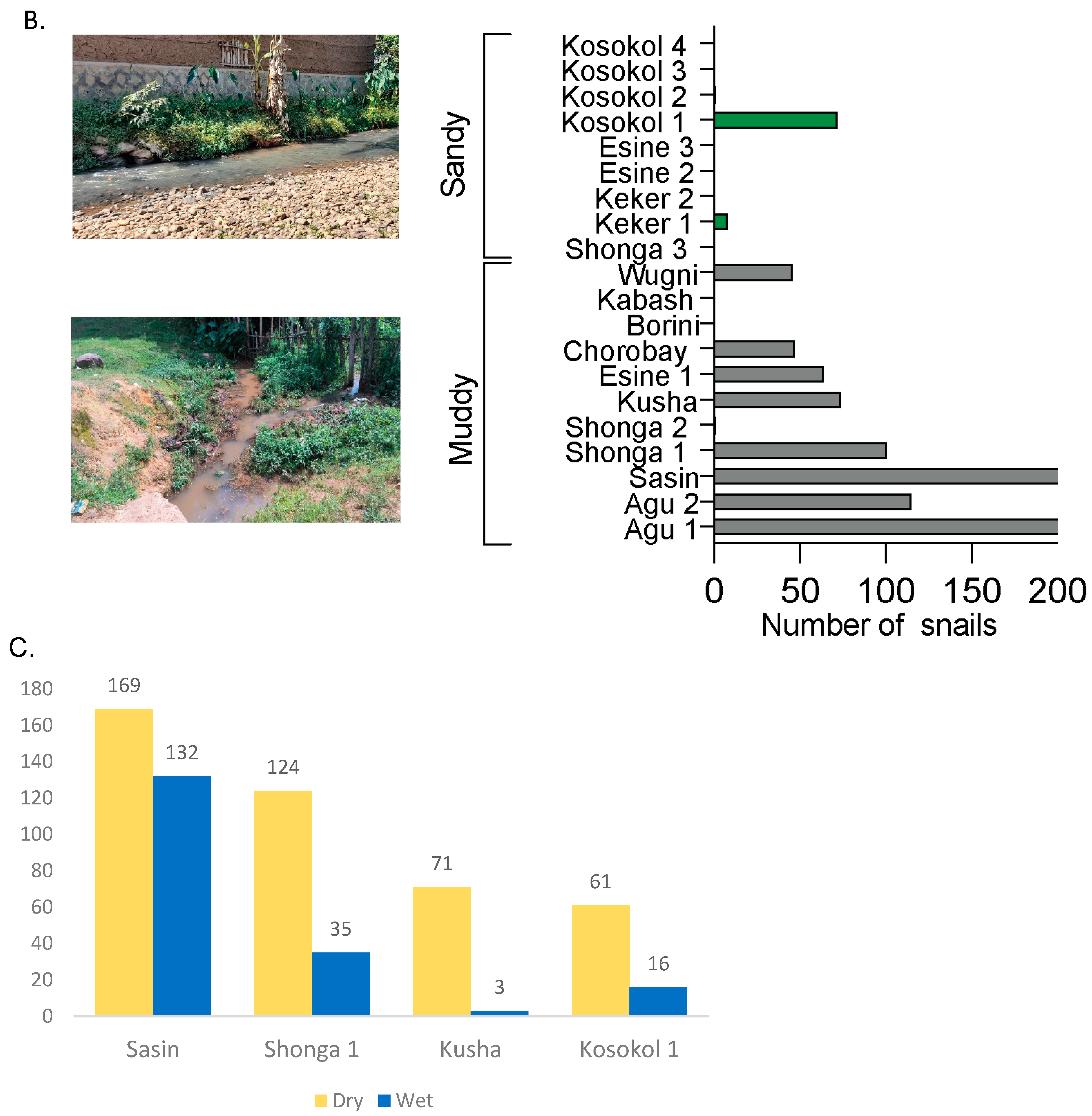 Parasitologia 05 00013 g002b Parasitologia 05 00013 g002b
