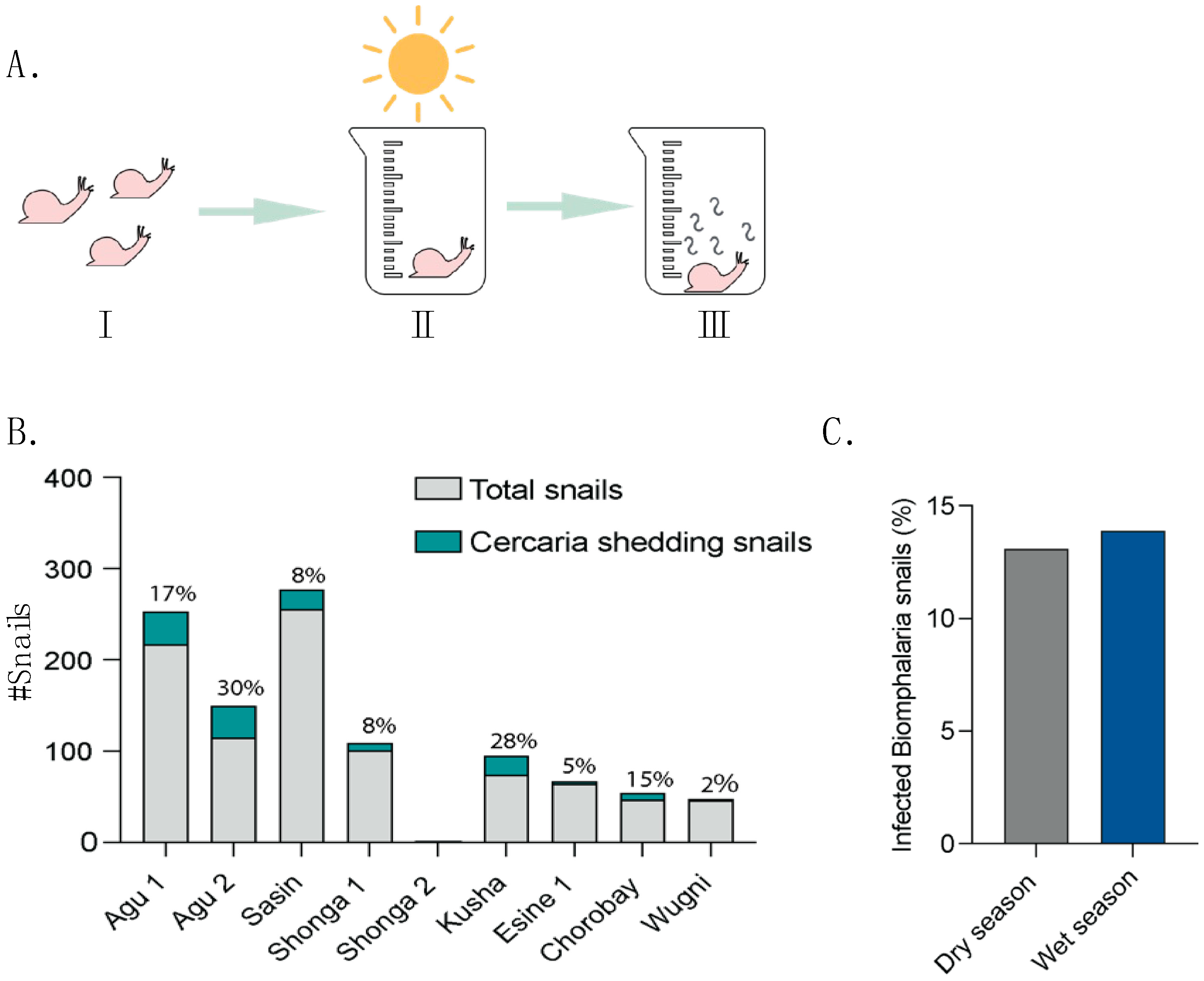 Parasitologia 05 00013 g004 Parasitologia 05 00013 g004