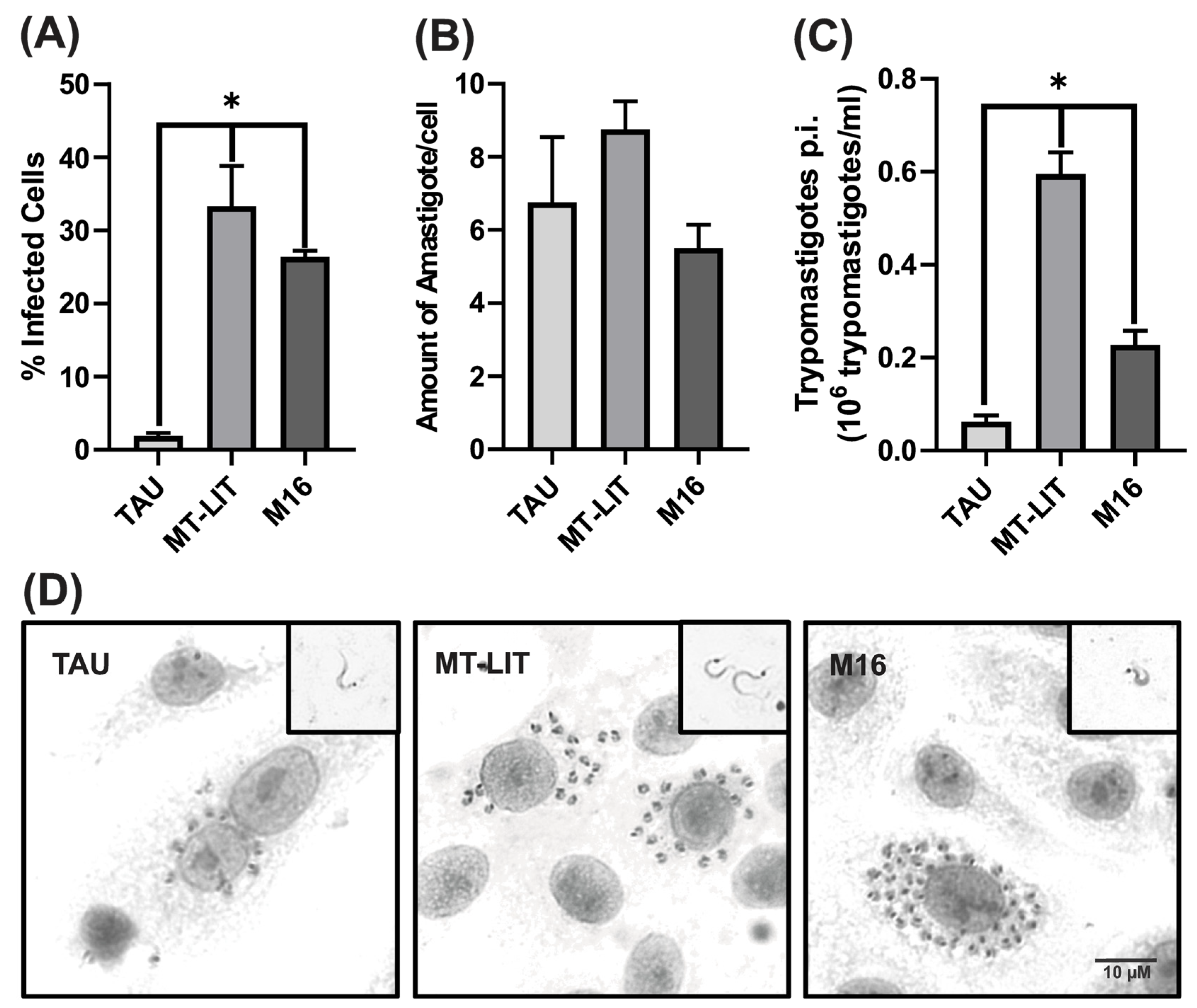 Parasitologia 05 00020 g003