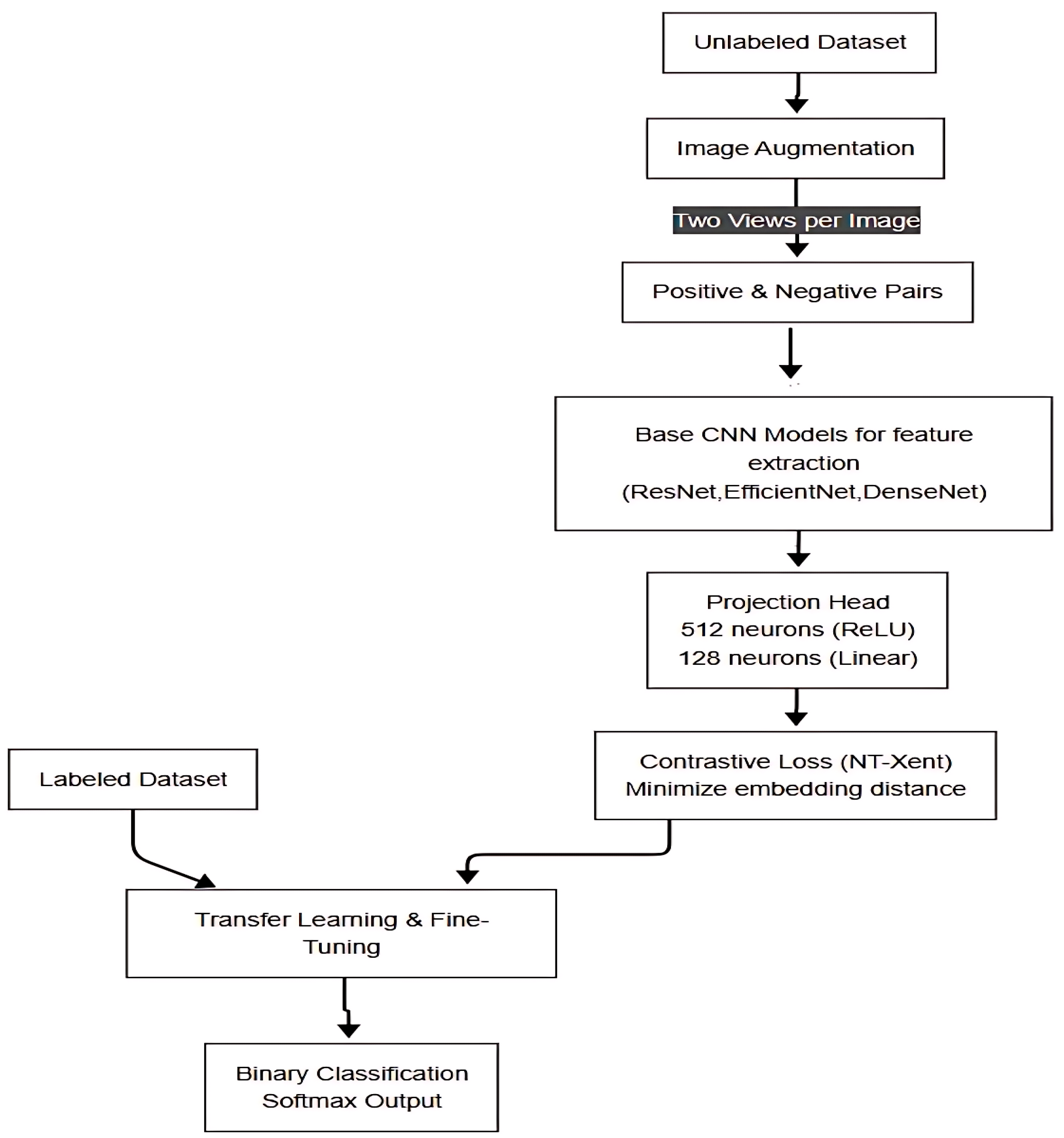 Parasitologia 05 00023 g001