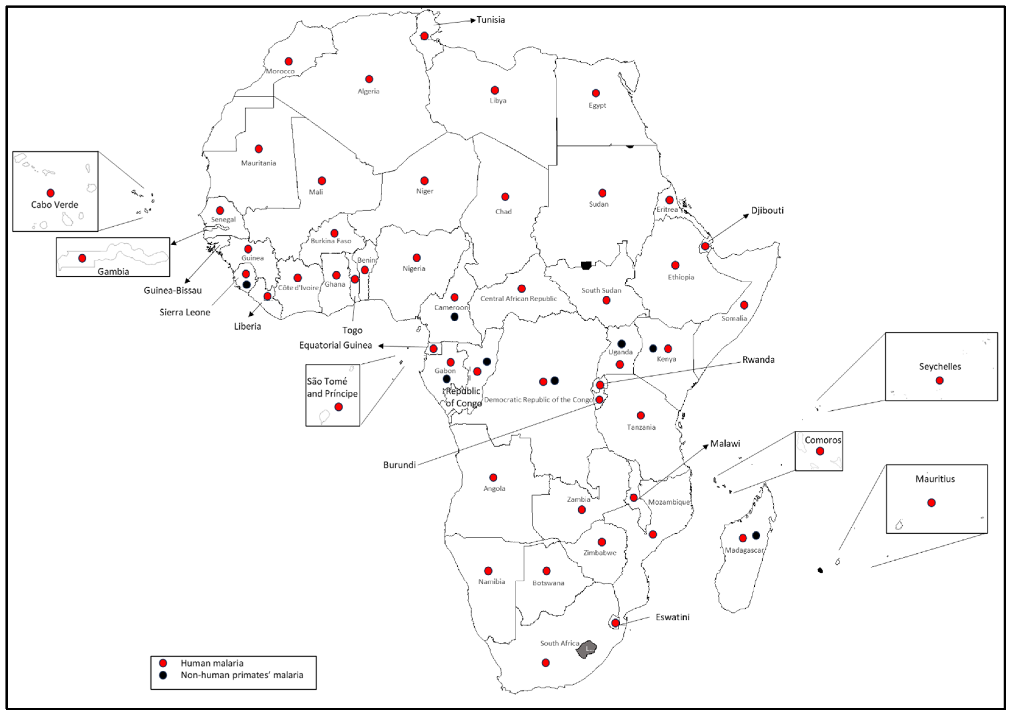 Parasitologia 05 00029 g002