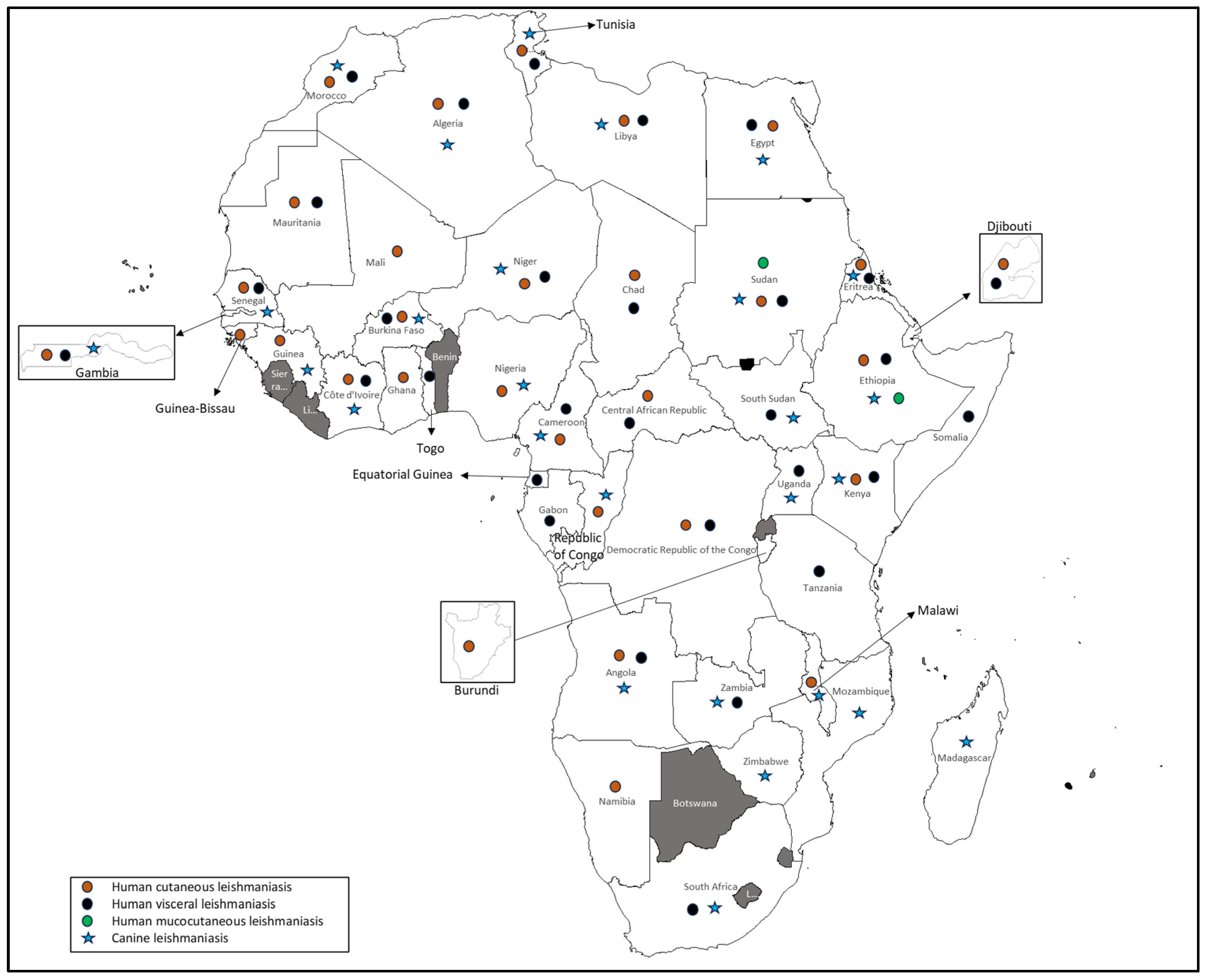 Parasitologia 05 00029 g004