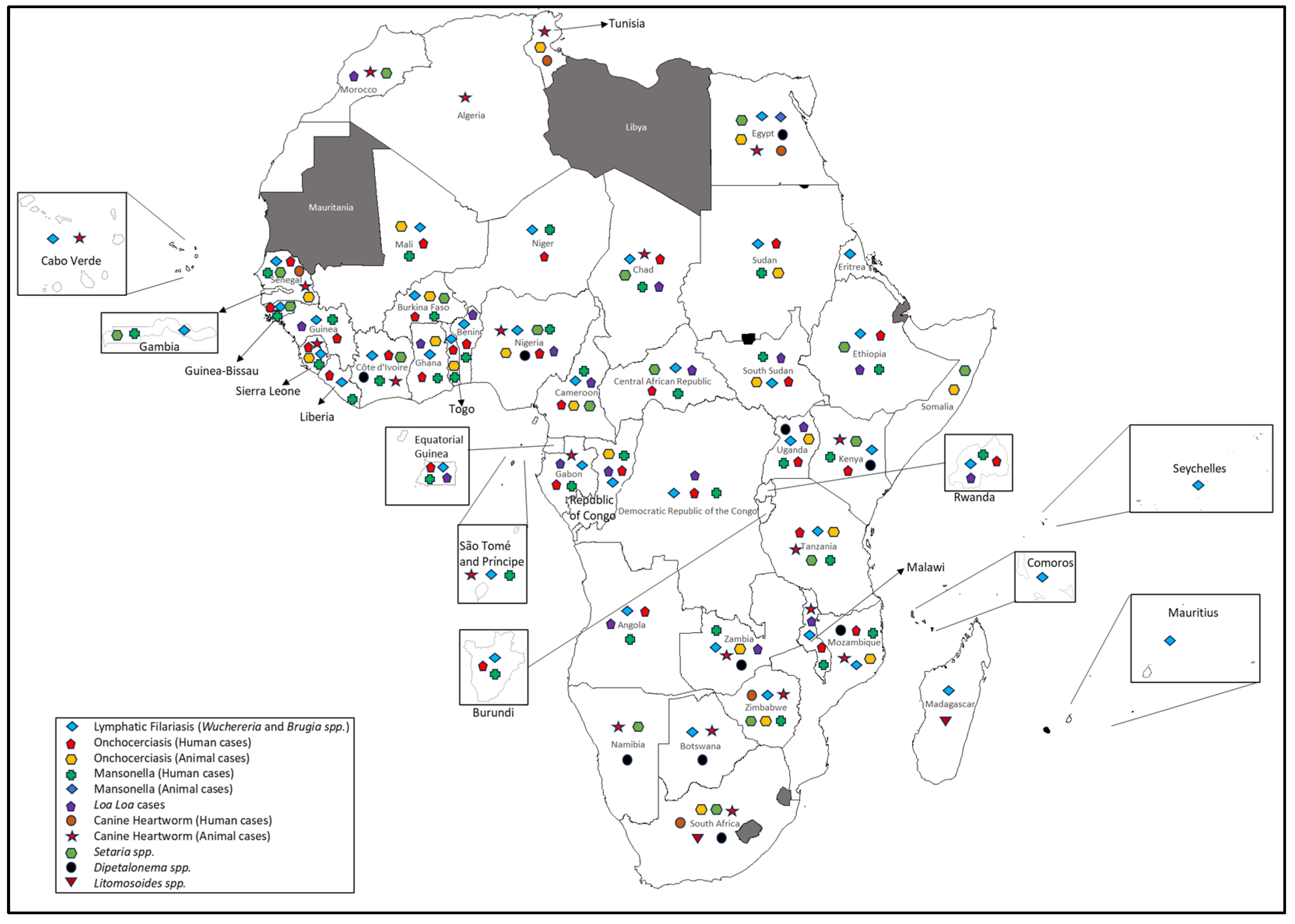 Parasitologia 05 00029 g006