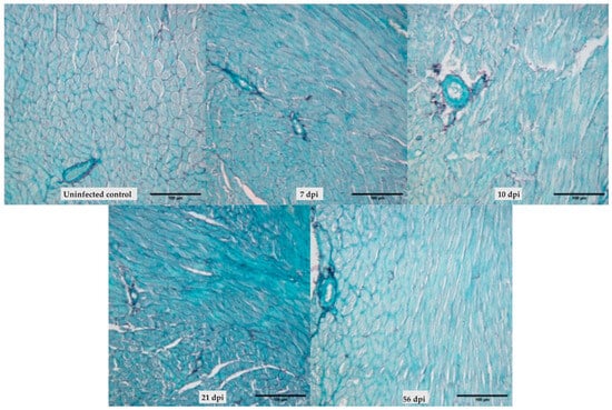 Parasitologia 05 00047 g0a1