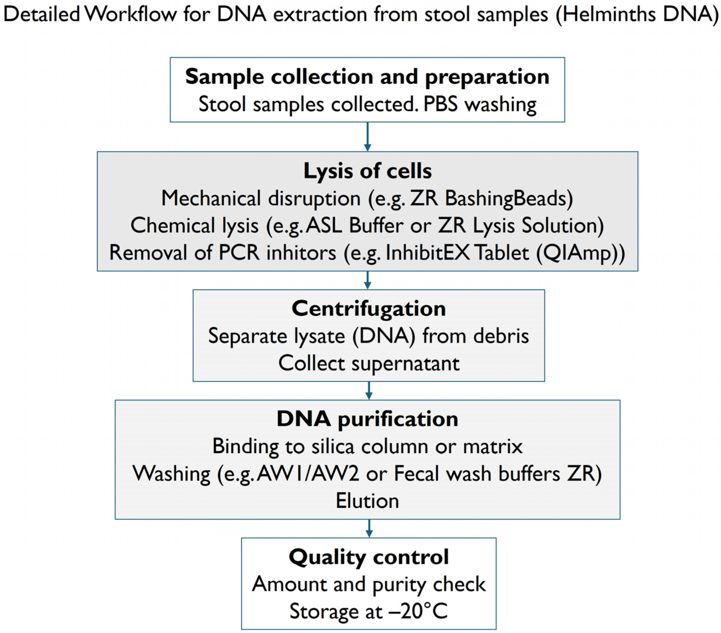Parasitologia 06 00003 g002