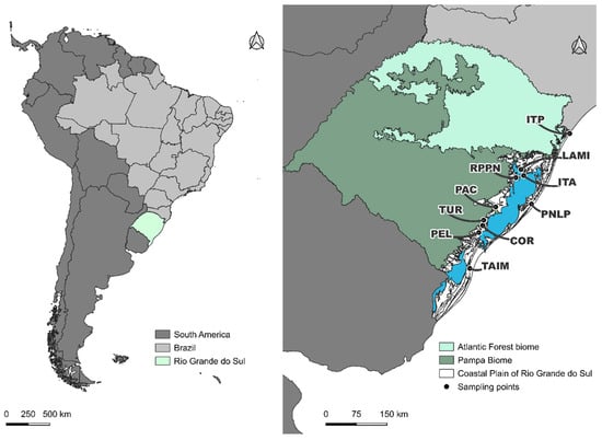 Geographic location of the study area in the Coastal Plain of Rio Grande do Sul (CPRS), southern Brazil. Left panel: Position of the state of Rio Grande do Sul (outlined in green) within Brazil and South America. Right panel: Sampling sites (black dots) distributed along the CPRS (shaded in white), encompassing a gradient of protected and unprotected environments.
