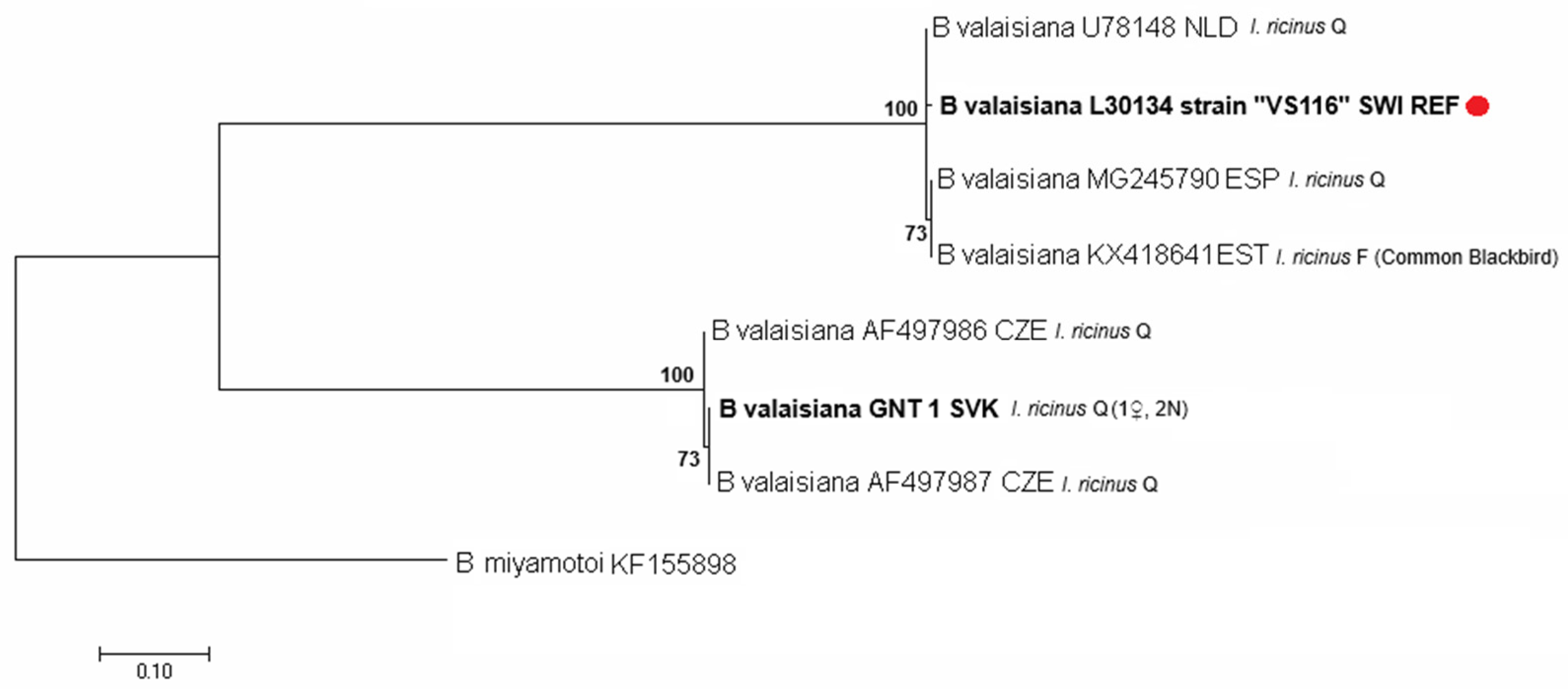 Parasitologia 06 00011 g005 Parasitologia 06 00011 g005