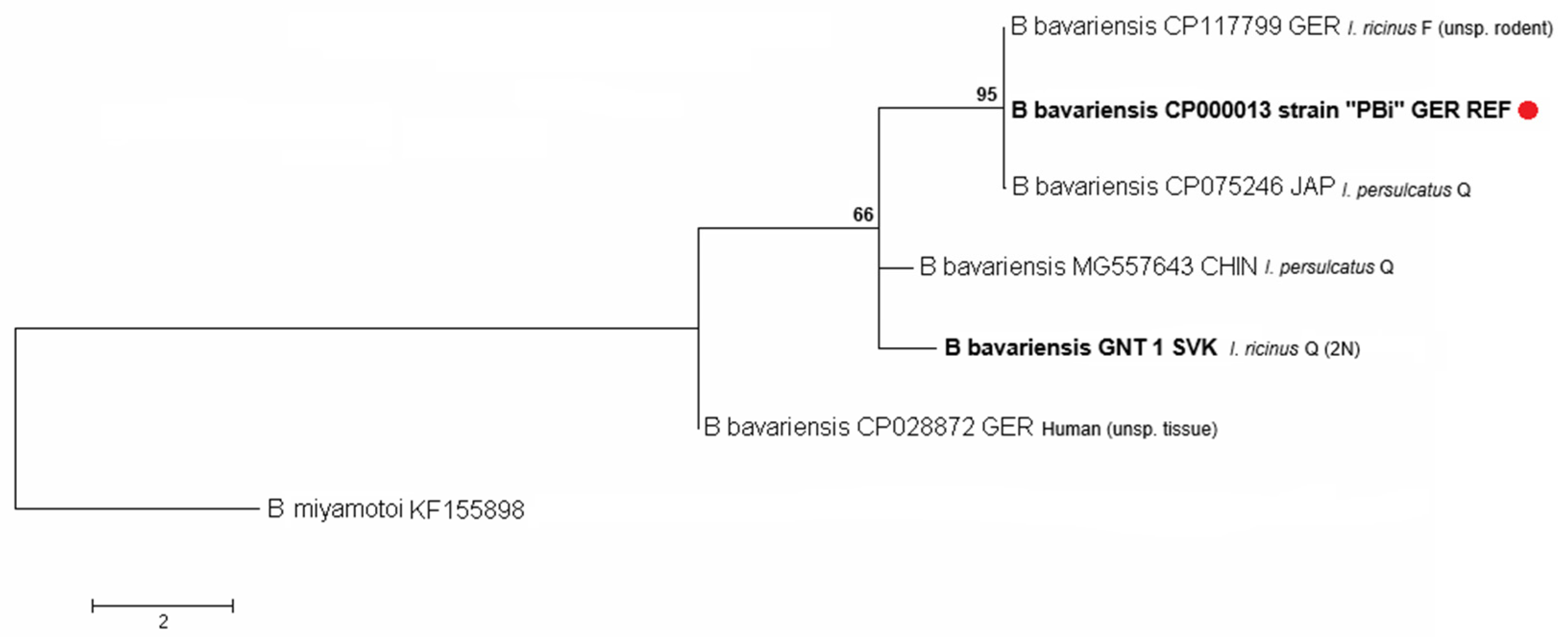 Parasitologia 06 00011 g007 Parasitologia 06 00011 g007
