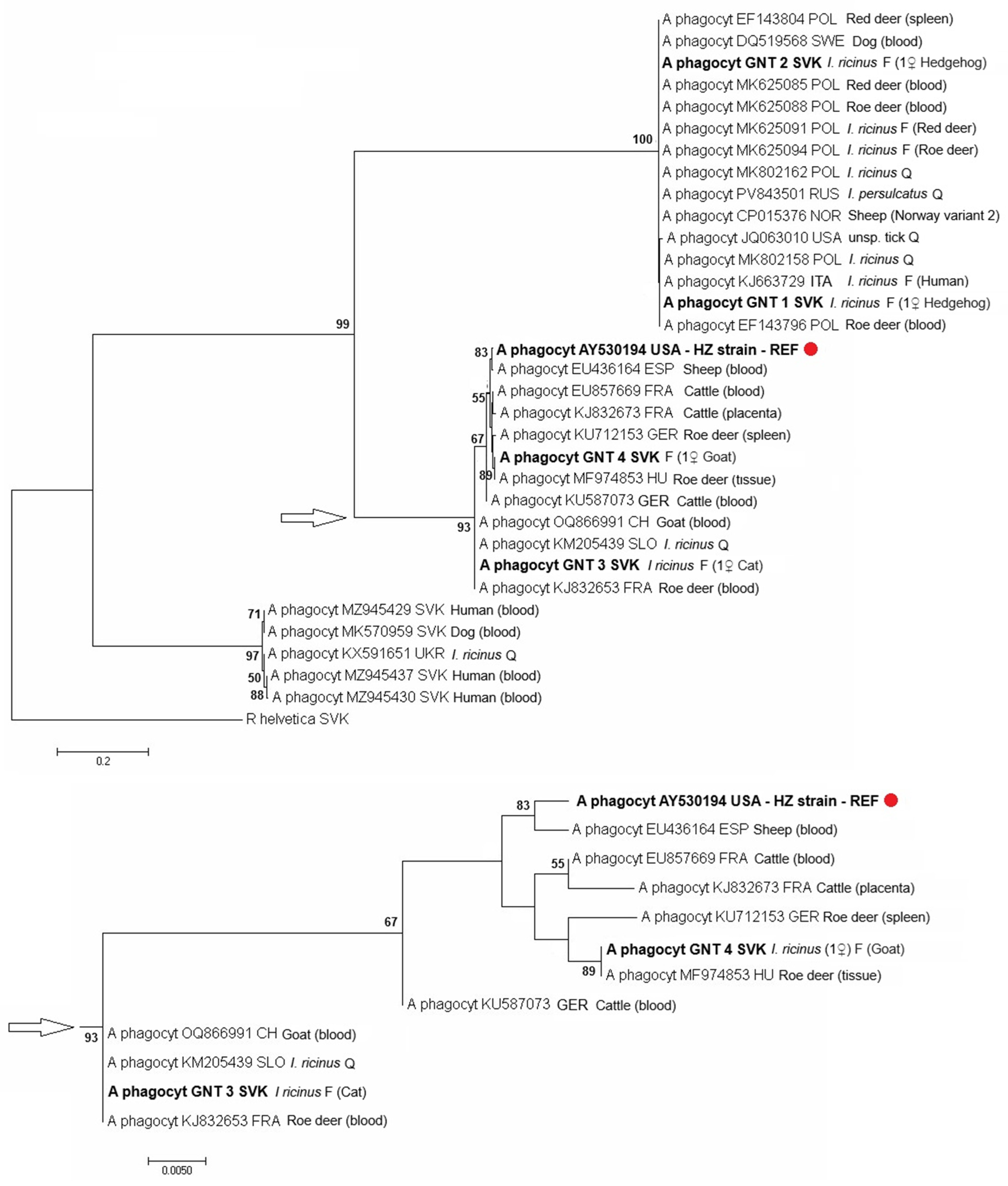 Parasitologia 06 00011 g008 Parasitologia 06 00011 g008