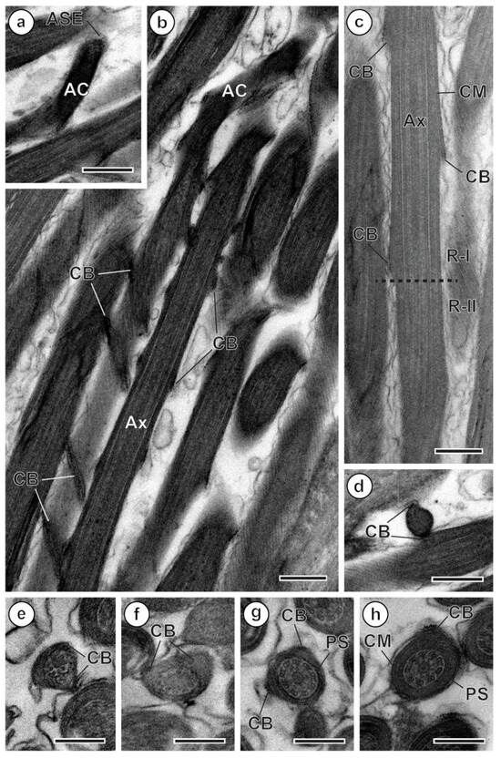 Parasitologia 06 00014 g001