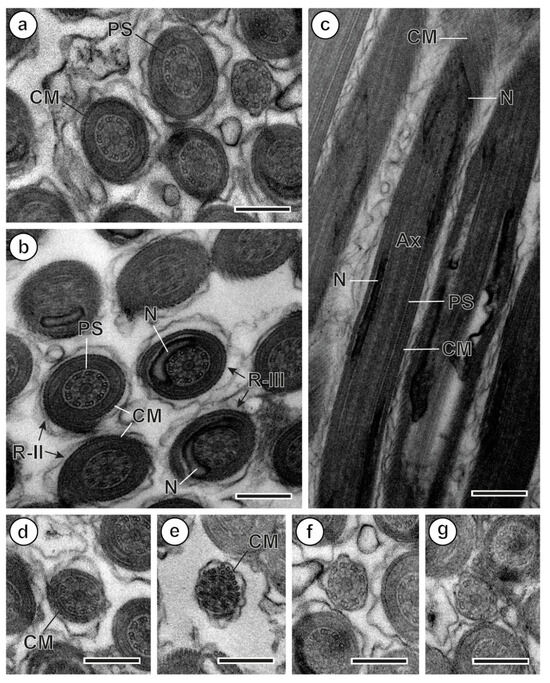Parasitologia 06 00014 g002
