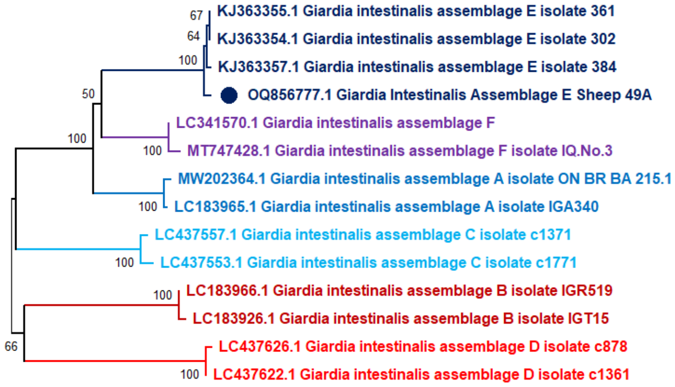 Parasitologia 06 00045 g001