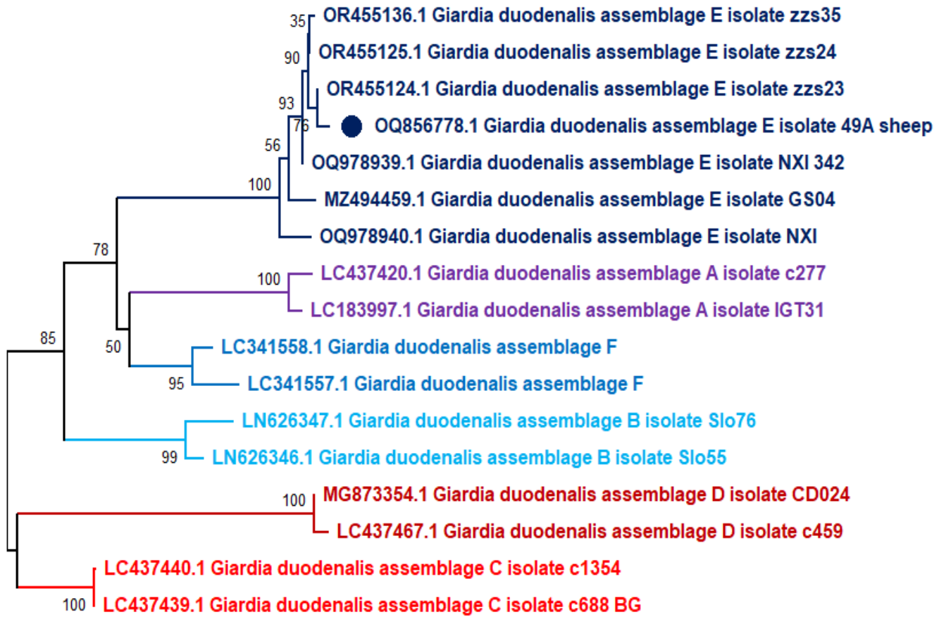 Parasitologia 06 00045 g002