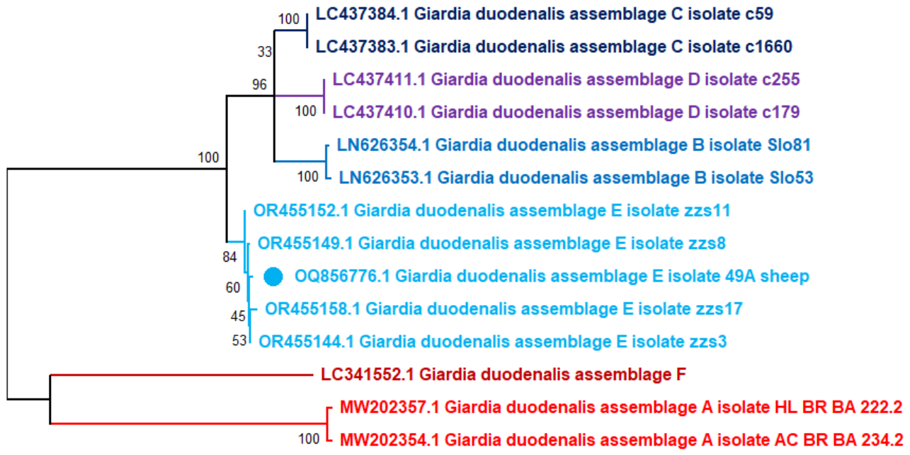 Parasitologia 06 00045 g003