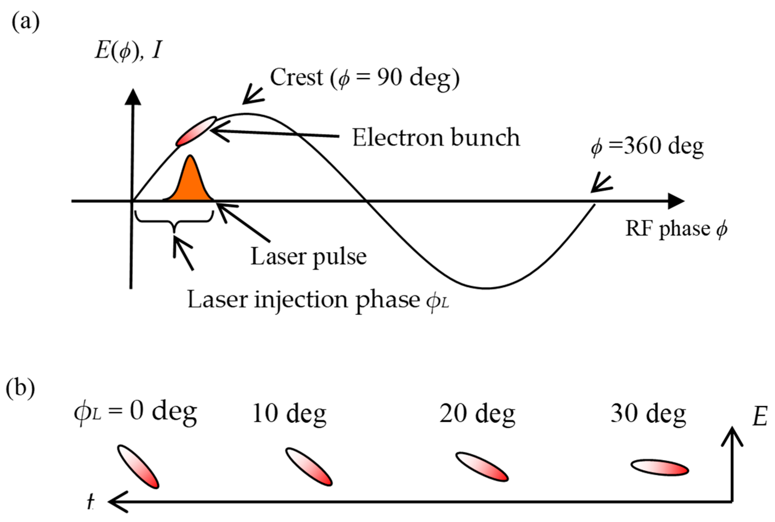 Particles 02 00003 g003