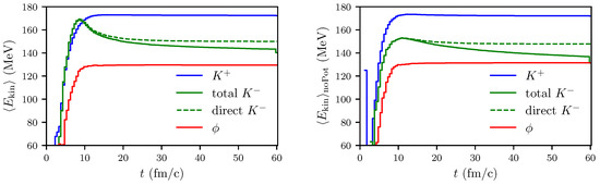 Particles 02 00032 g0a11