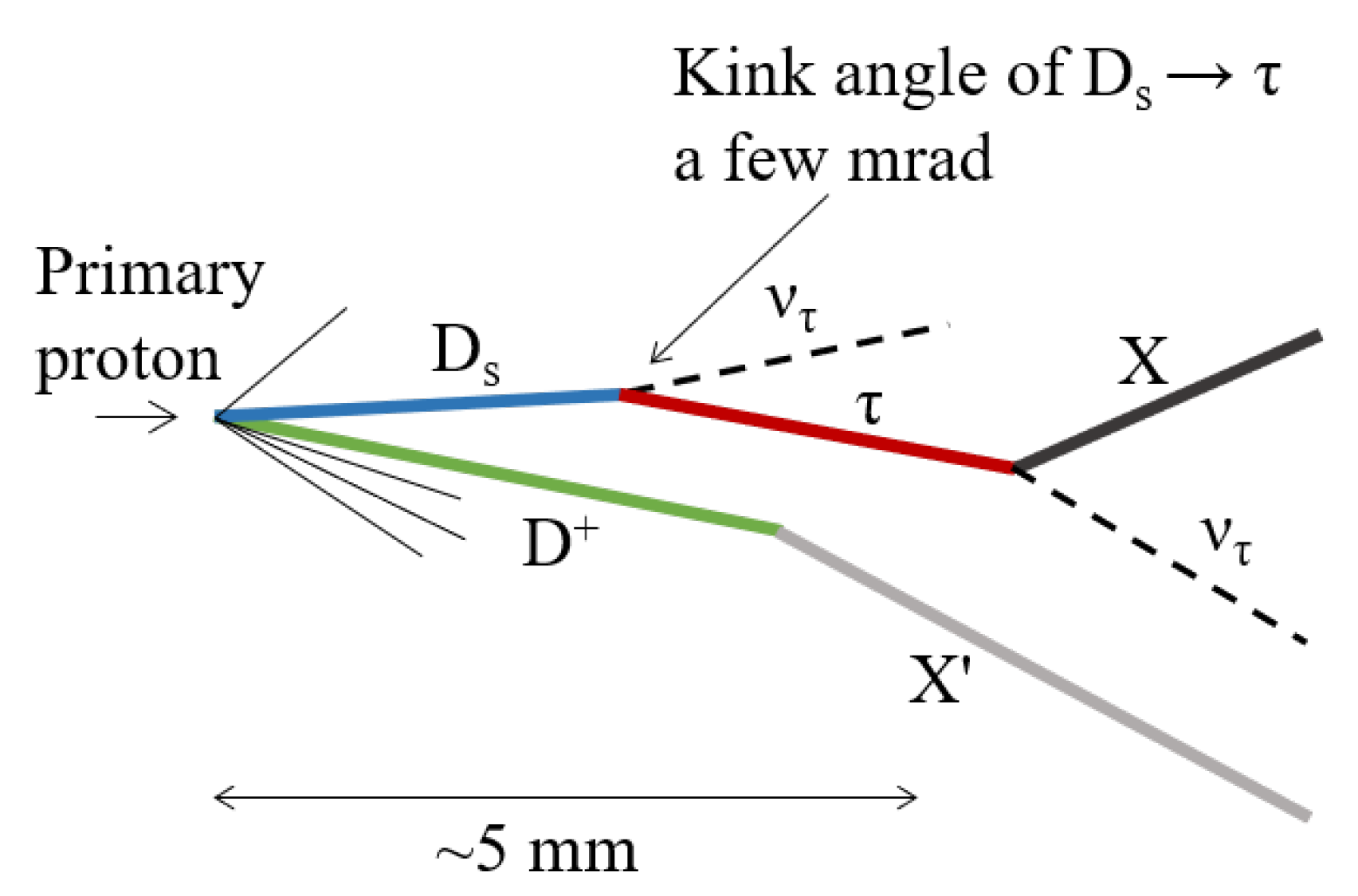 Particles 03 00013 g001